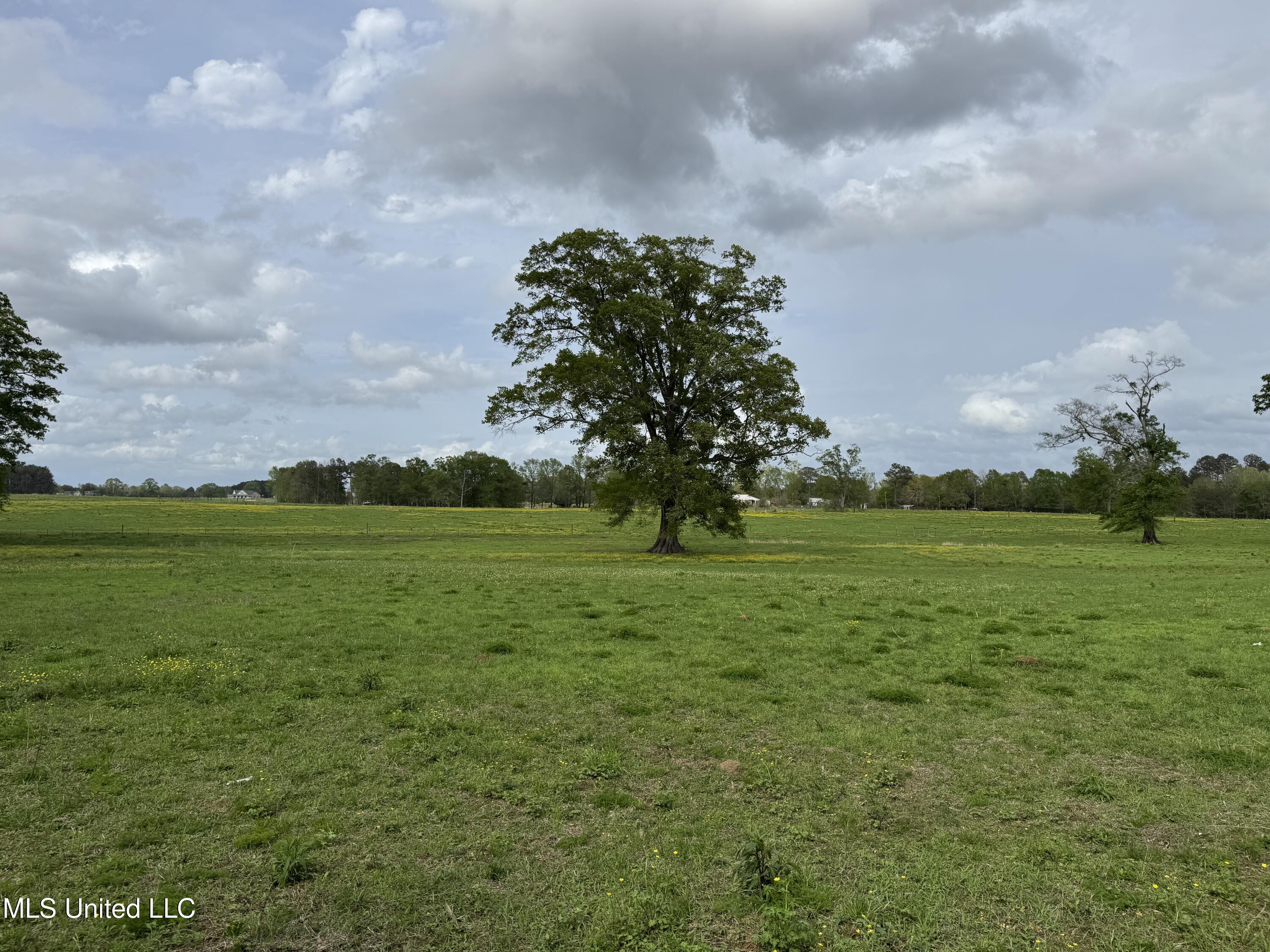 2509 Bogue Chitto Road, Smithdale, Mississippi image 40