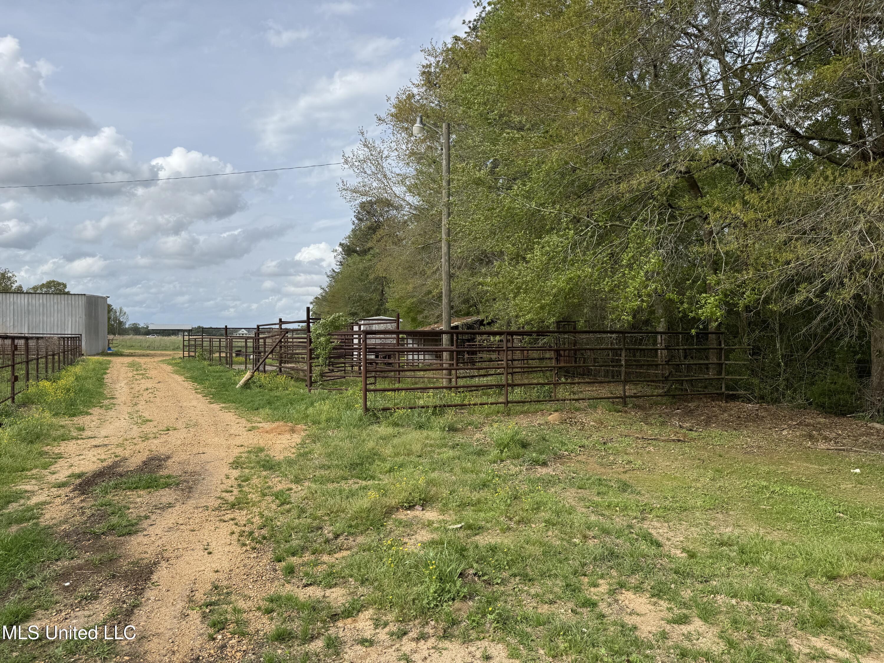 2509 Bogue Chitto Road, Smithdale, Mississippi image 18