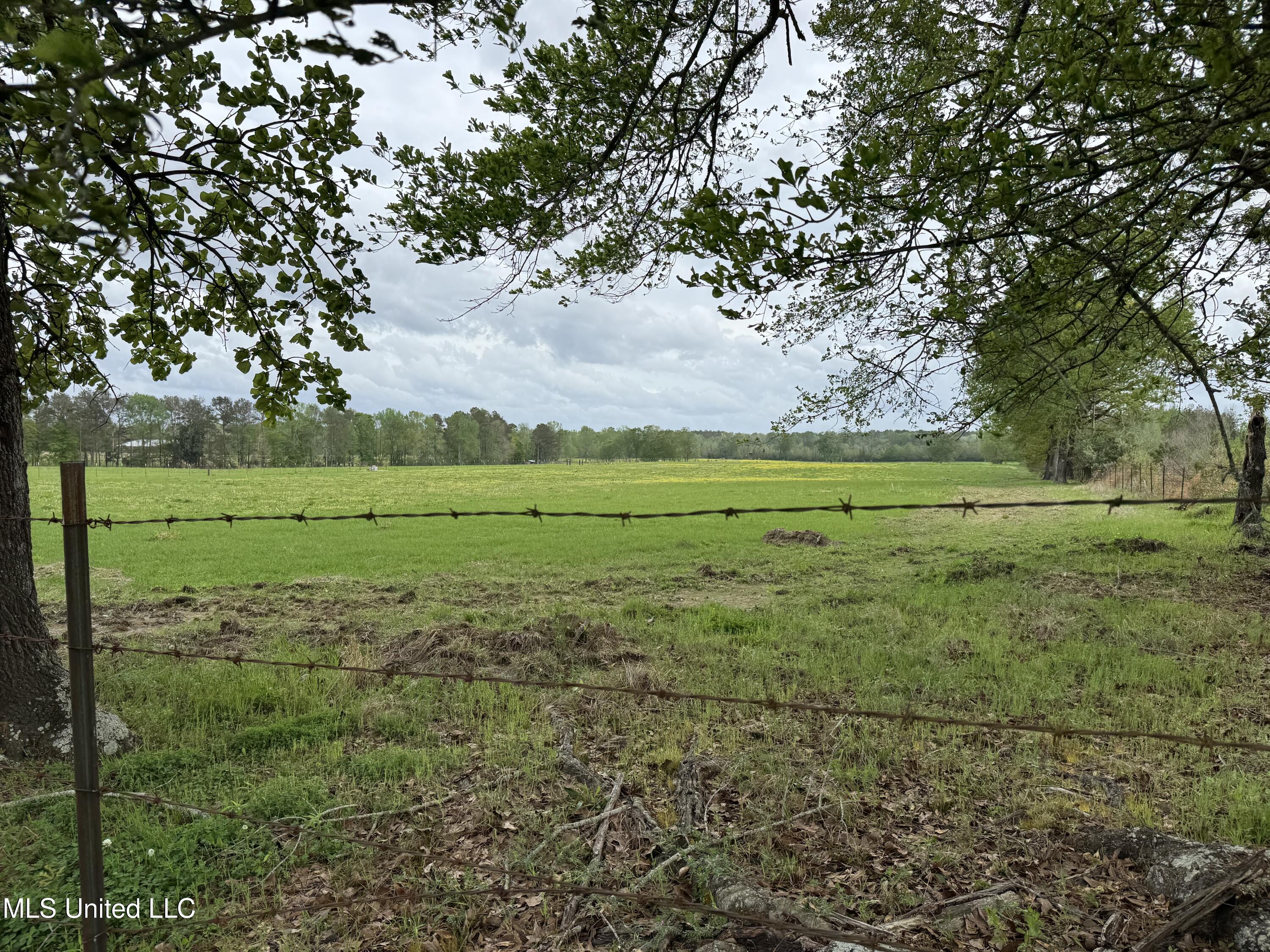 2509 Bogue Chitto Road, Smithdale, Mississippi image 2