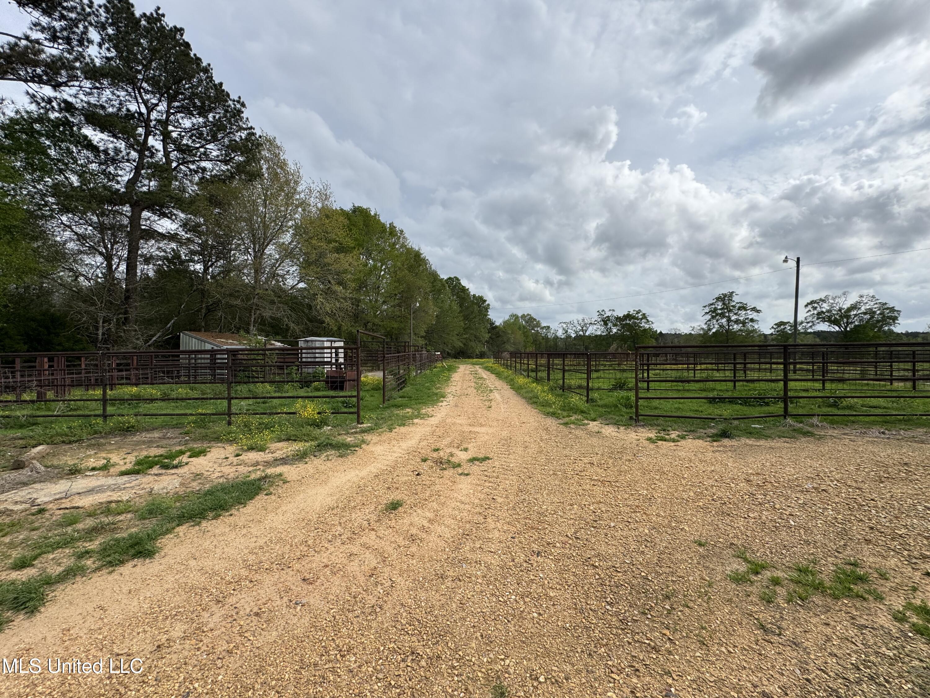 2509 Bogue Chitto Road, Smithdale, Mississippi image 14