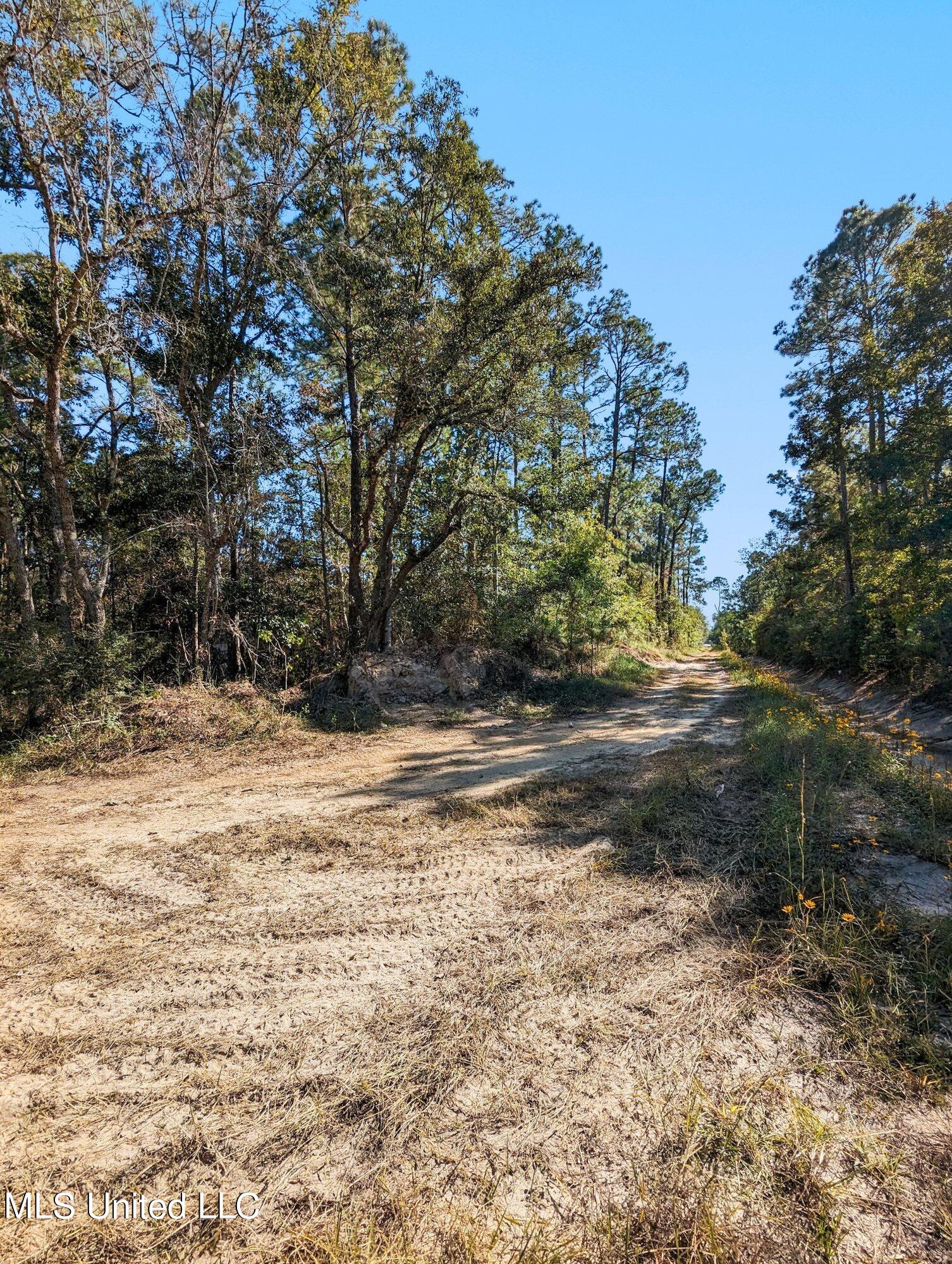 00 Monroe Street, Waveland, Mississippi image 7