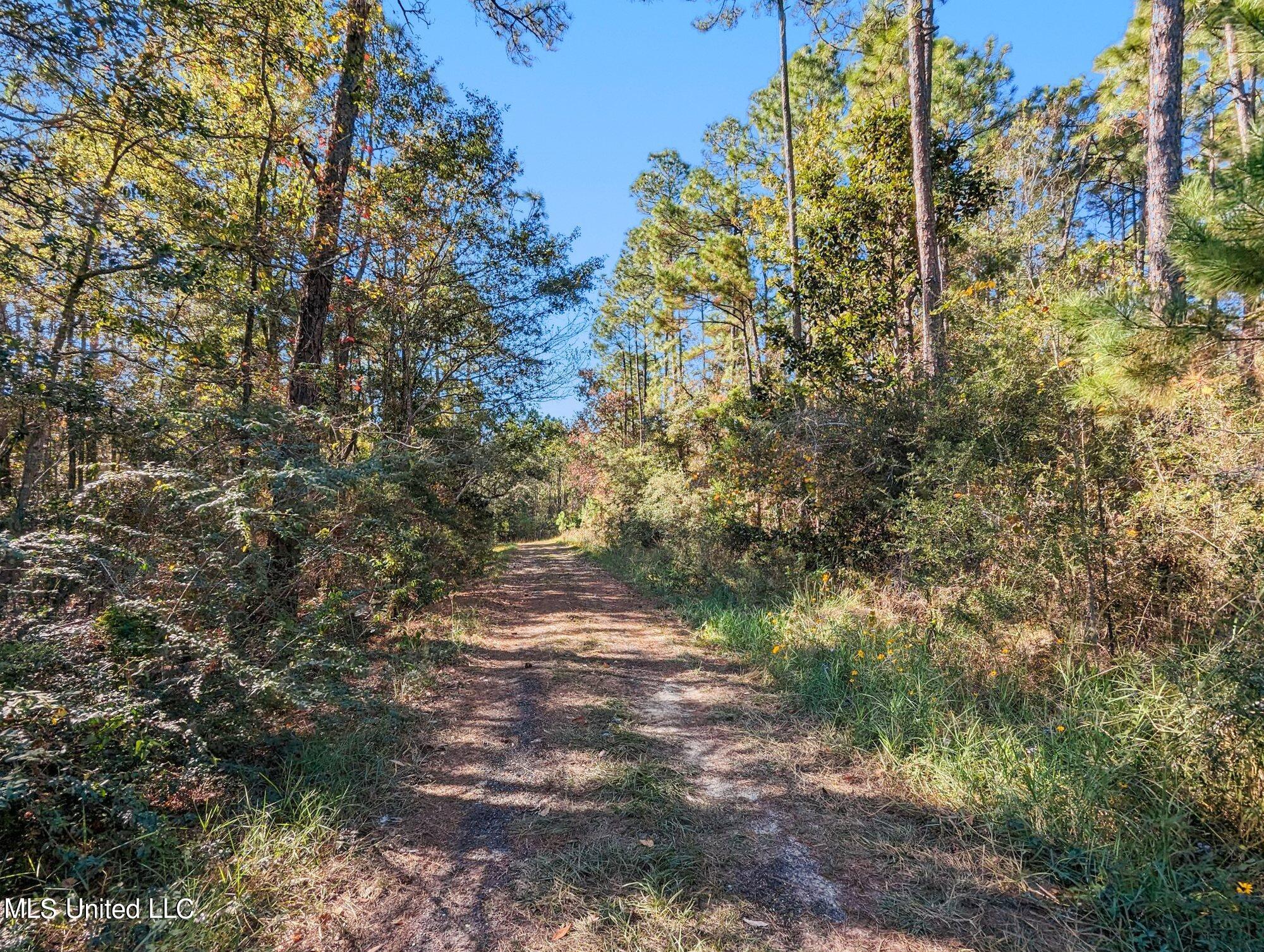 00 Monroe Street, Waveland, Mississippi image 8