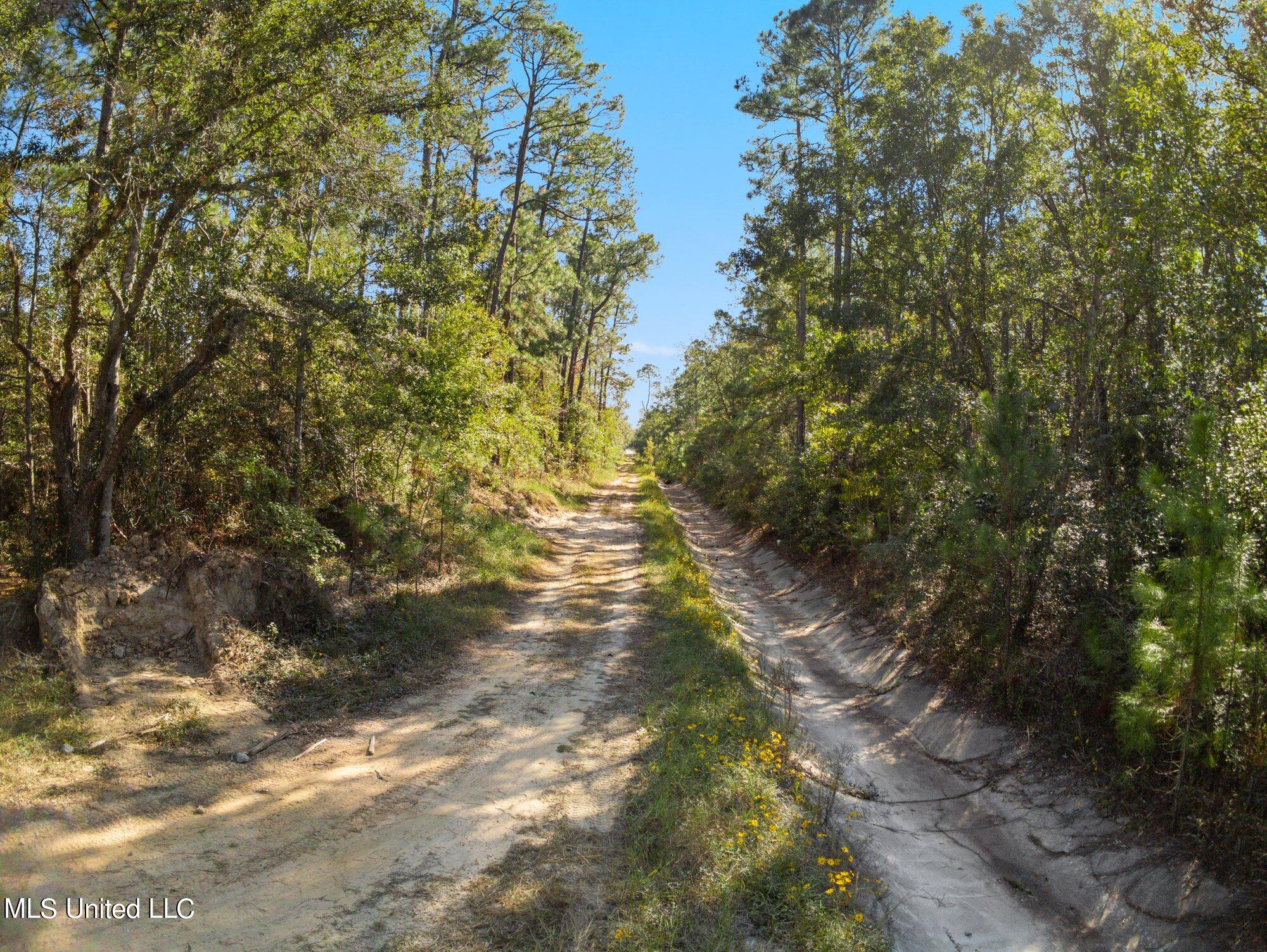 00 Monroe Street, Waveland, Mississippi image 2