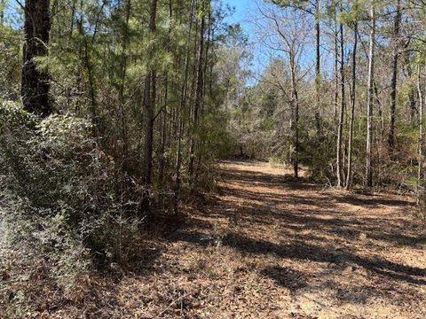 Vacant Land For Sale - LOT #5 Jessie Stogner Road<br/> Walthall County, Sandy Hook, MS 39667