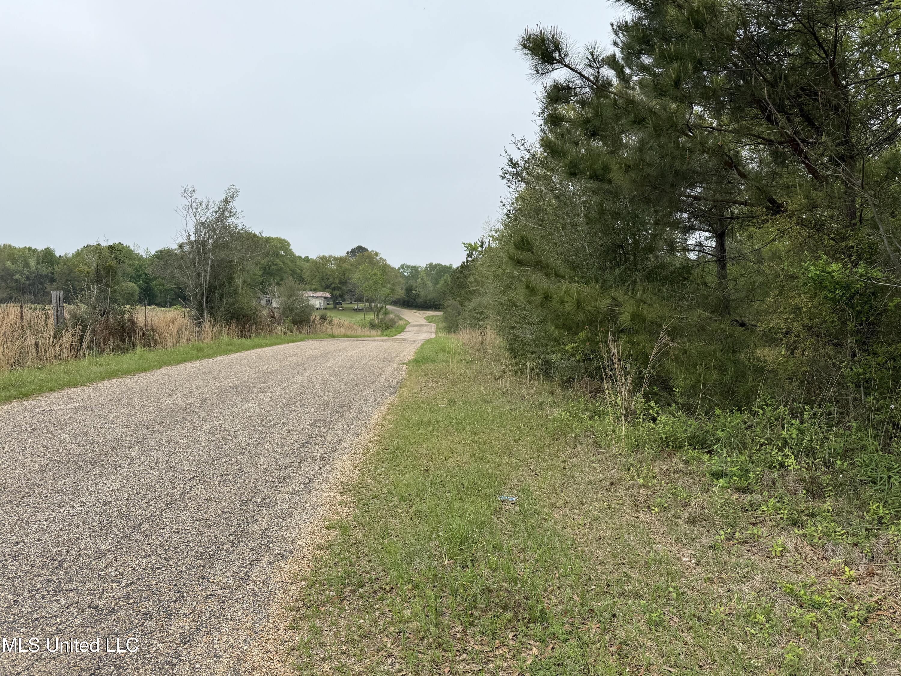 Beartown Road, Jayess, Mississippi image 3