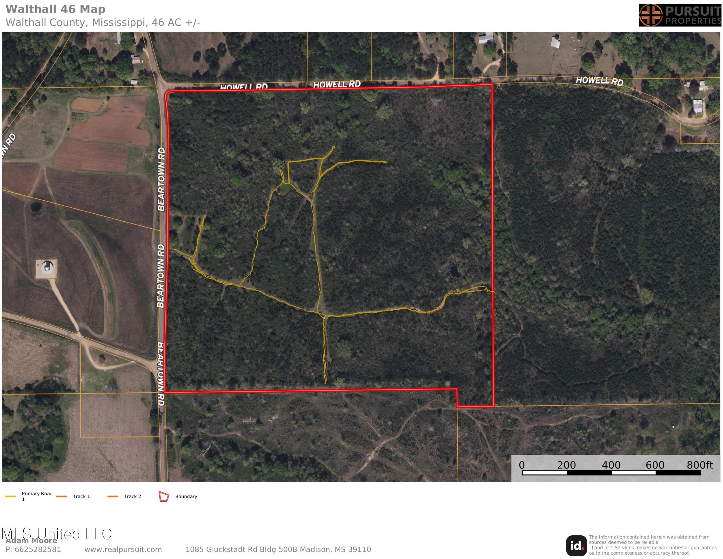 Beartown Road, Jayess, Mississippi image 31