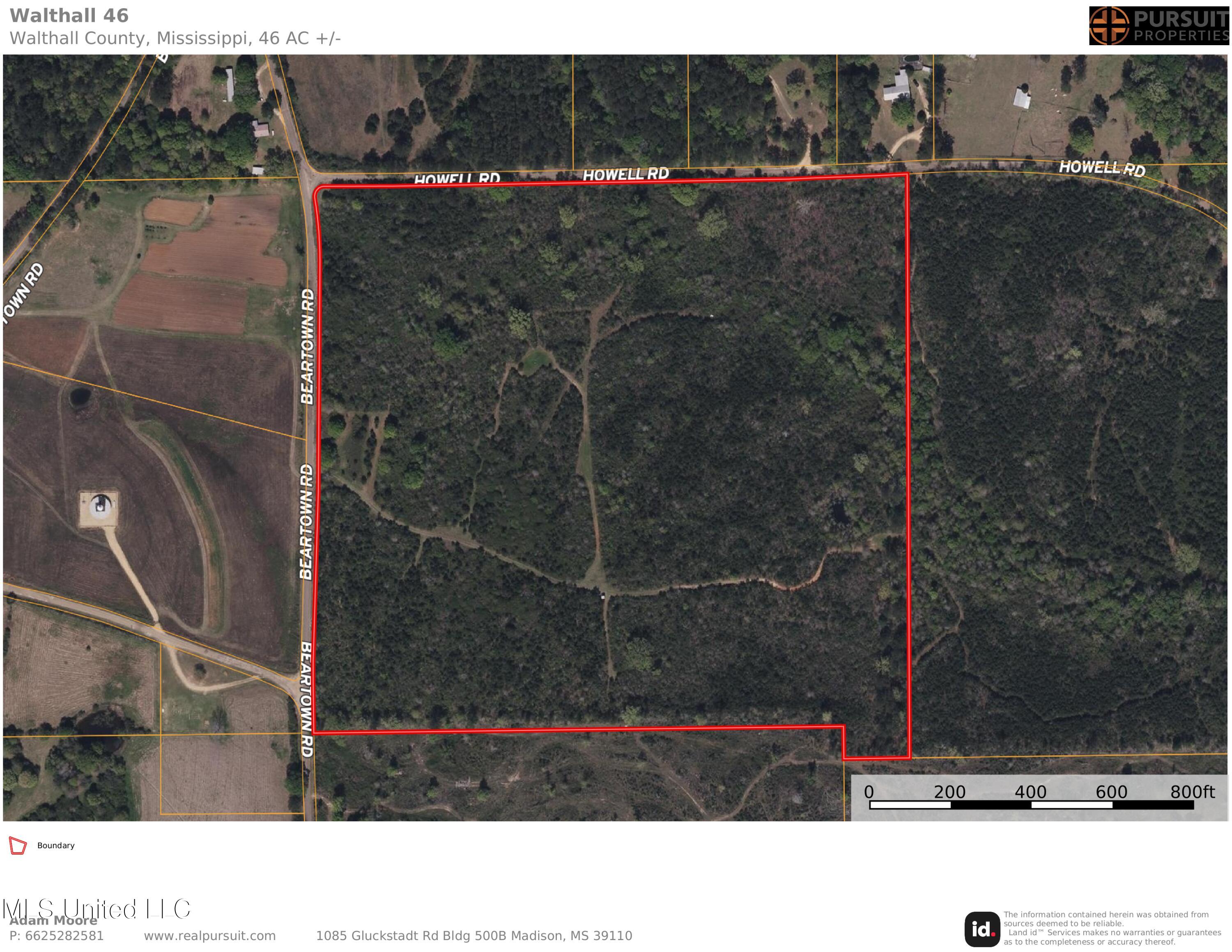 Beartown Road, Jayess, Mississippi image 28