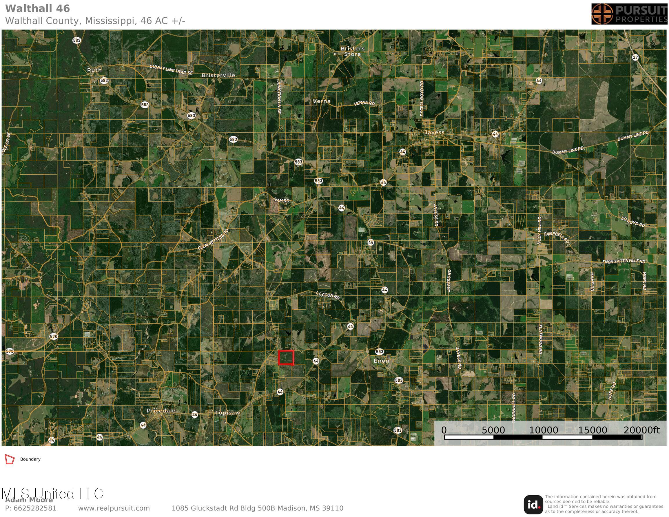 Beartown Road, Jayess, Mississippi image 29