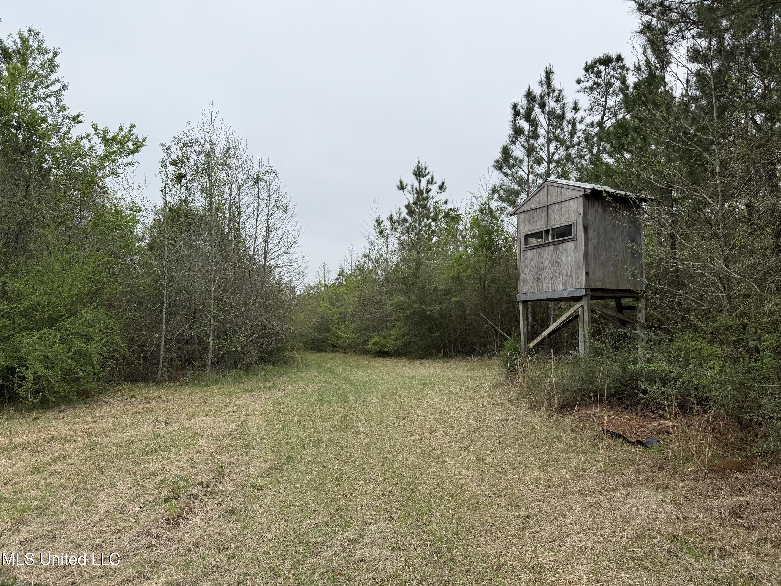 Beartown Road, Jayess, Mississippi image 14