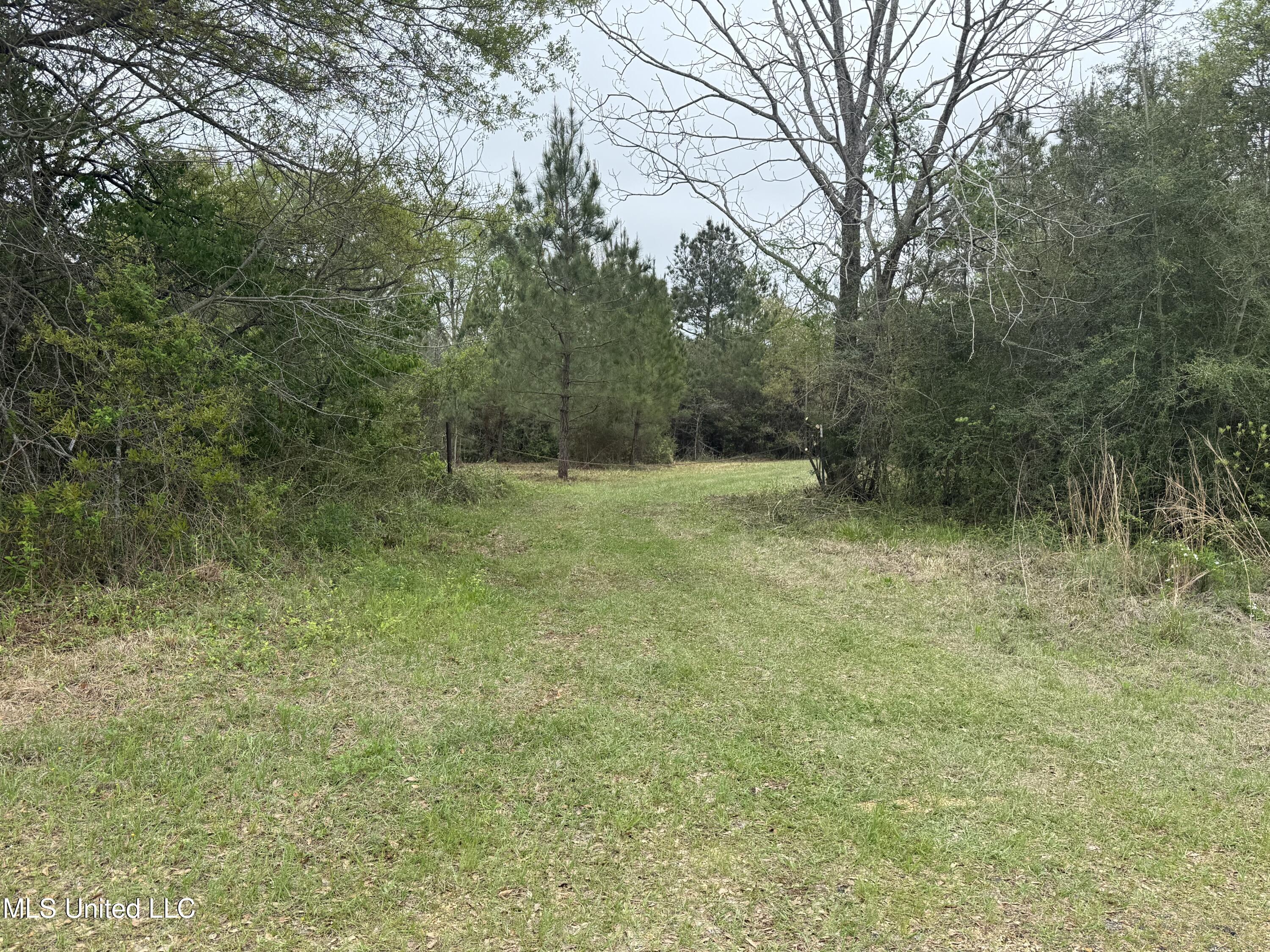 Beartown Road, Jayess, Mississippi image 1