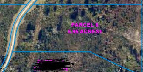 Vacant Land For Sale - PARCEL 6 R Thompson Road<br/> Lumberton, MS 39455