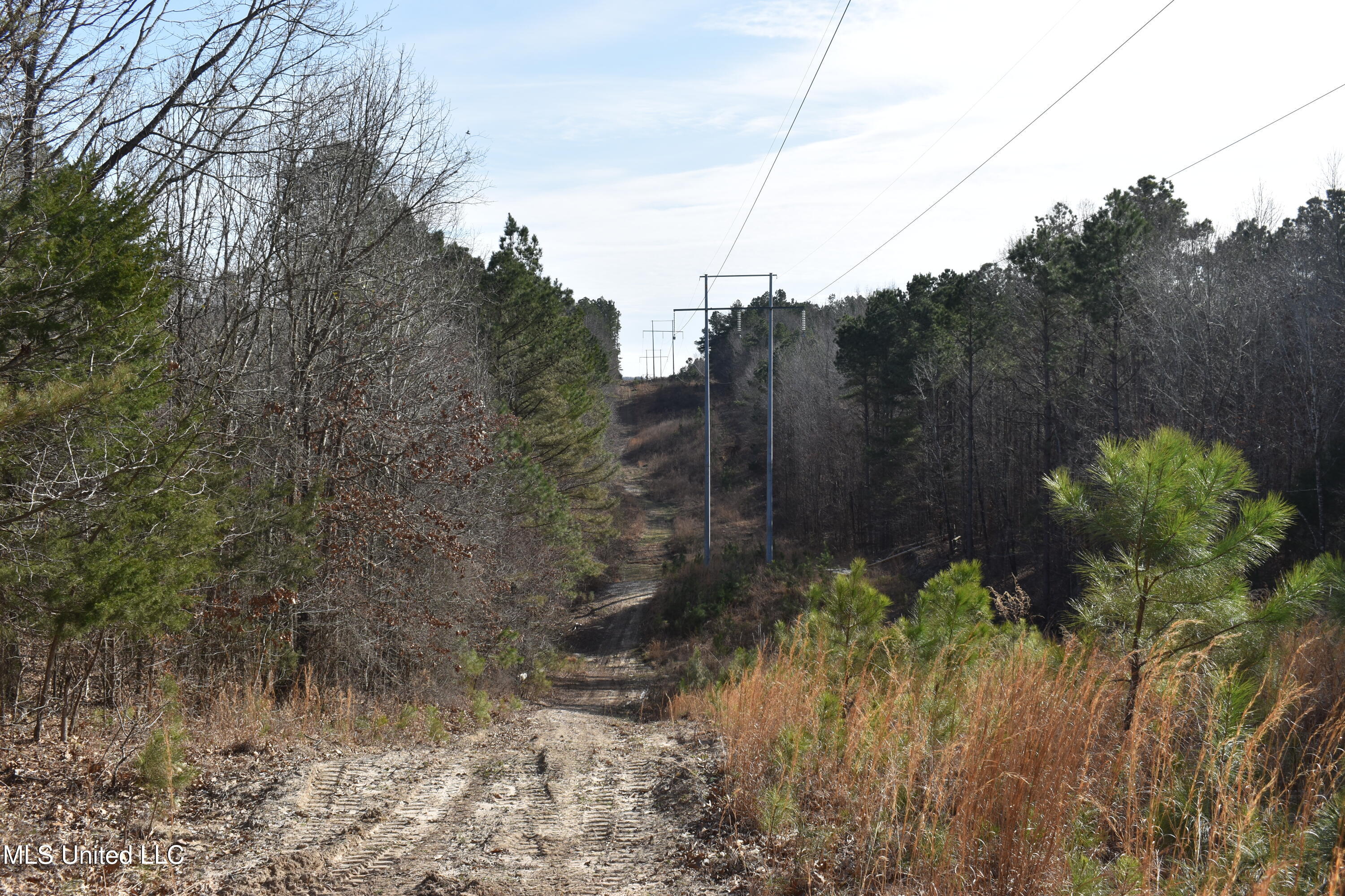160 Simon Chapel Road, Como, Mississippi image 24