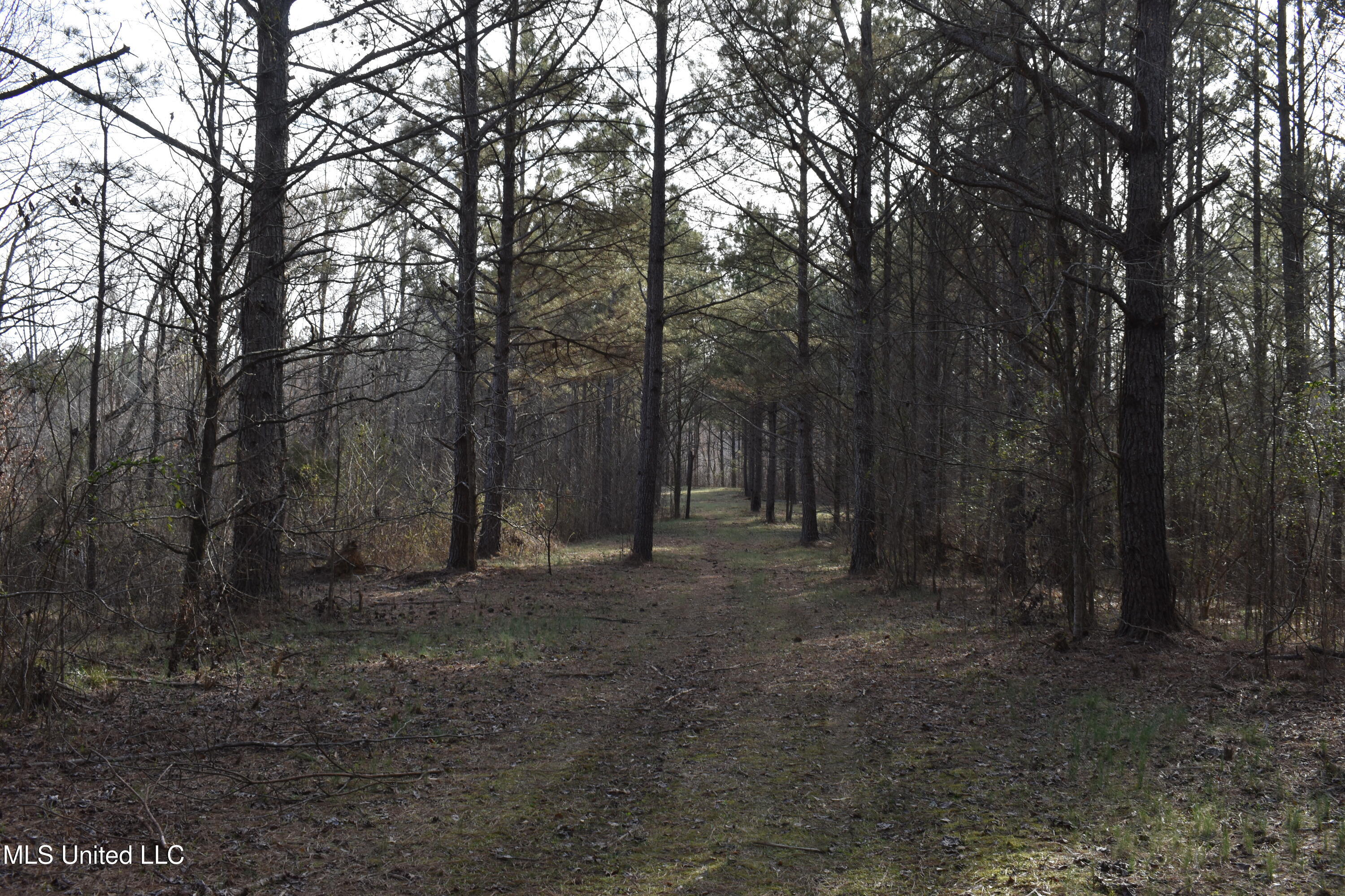 160 Simon Chapel Road, Como, Mississippi image 43