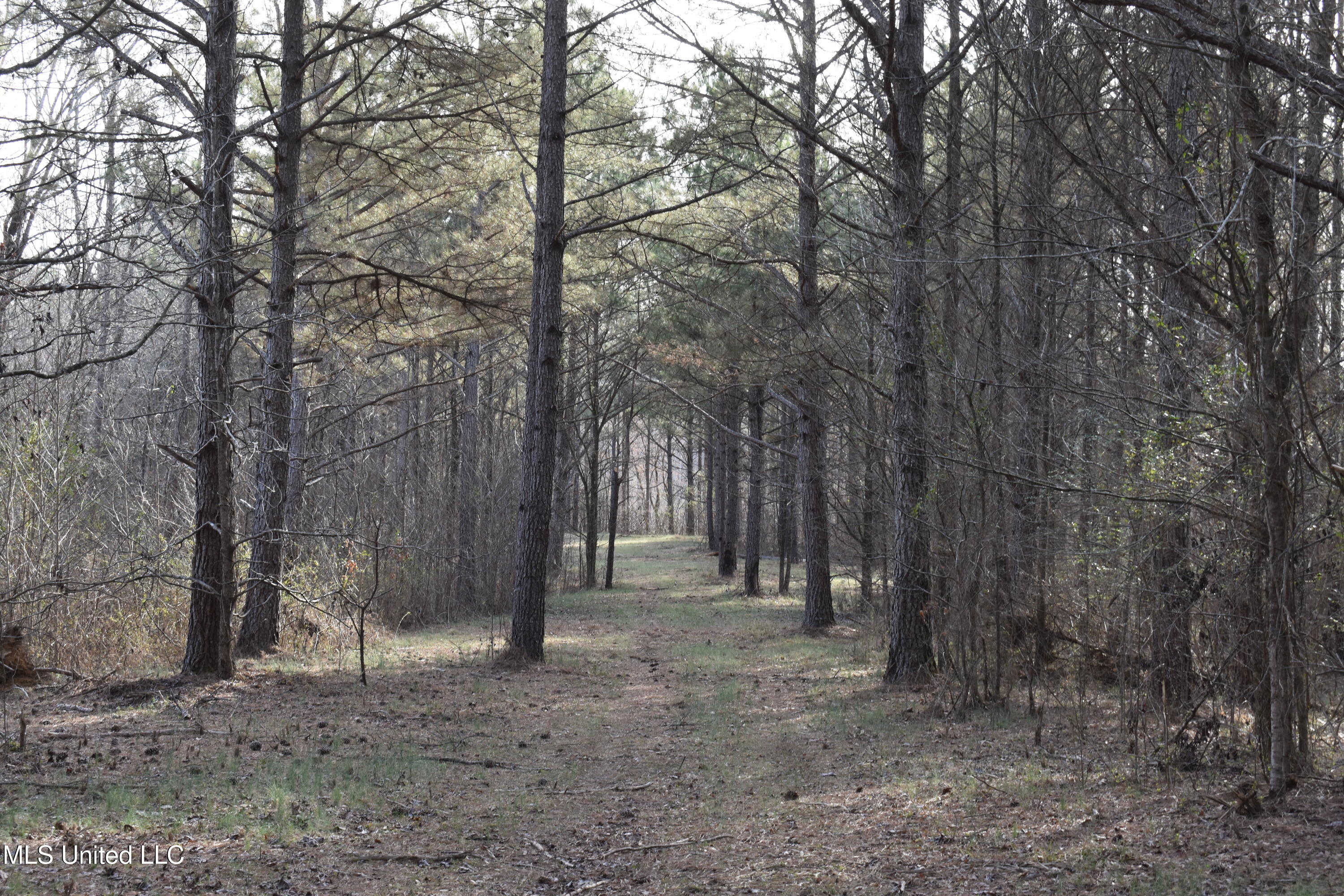 160 Simon Chapel Road, Como, Mississippi image 29