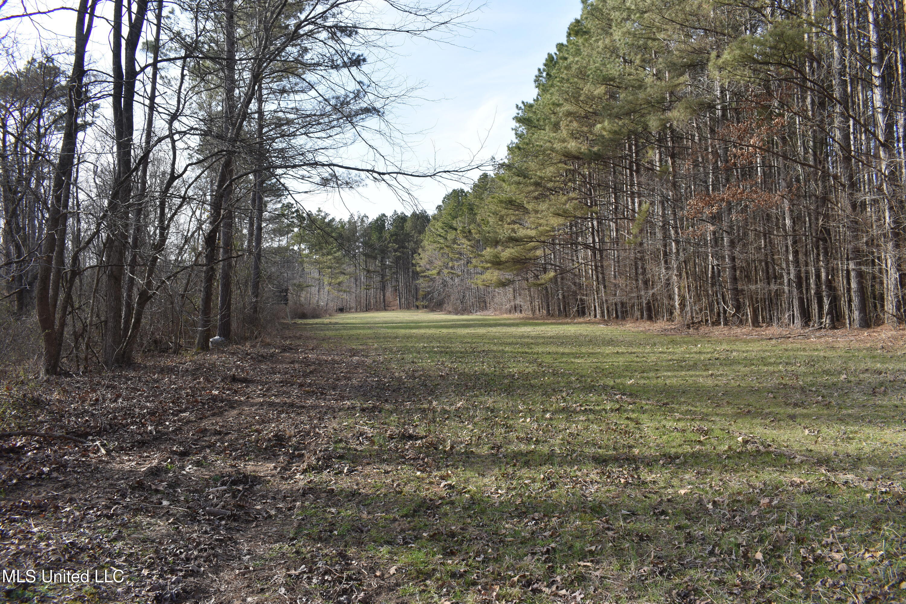 160 Simon Chapel Road, Como, Mississippi image 17