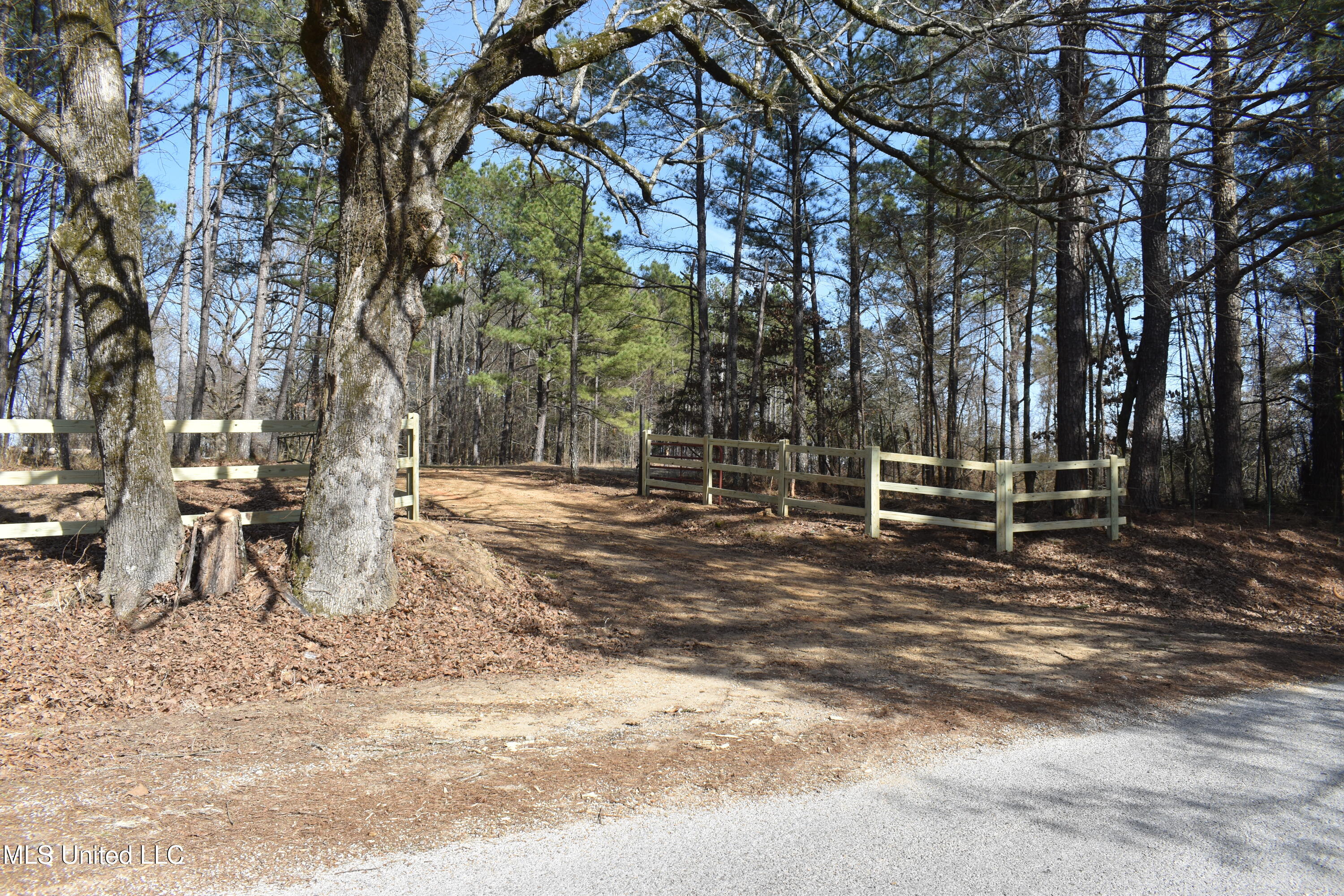 160 Simon Chapel Road, Como, Mississippi image 3