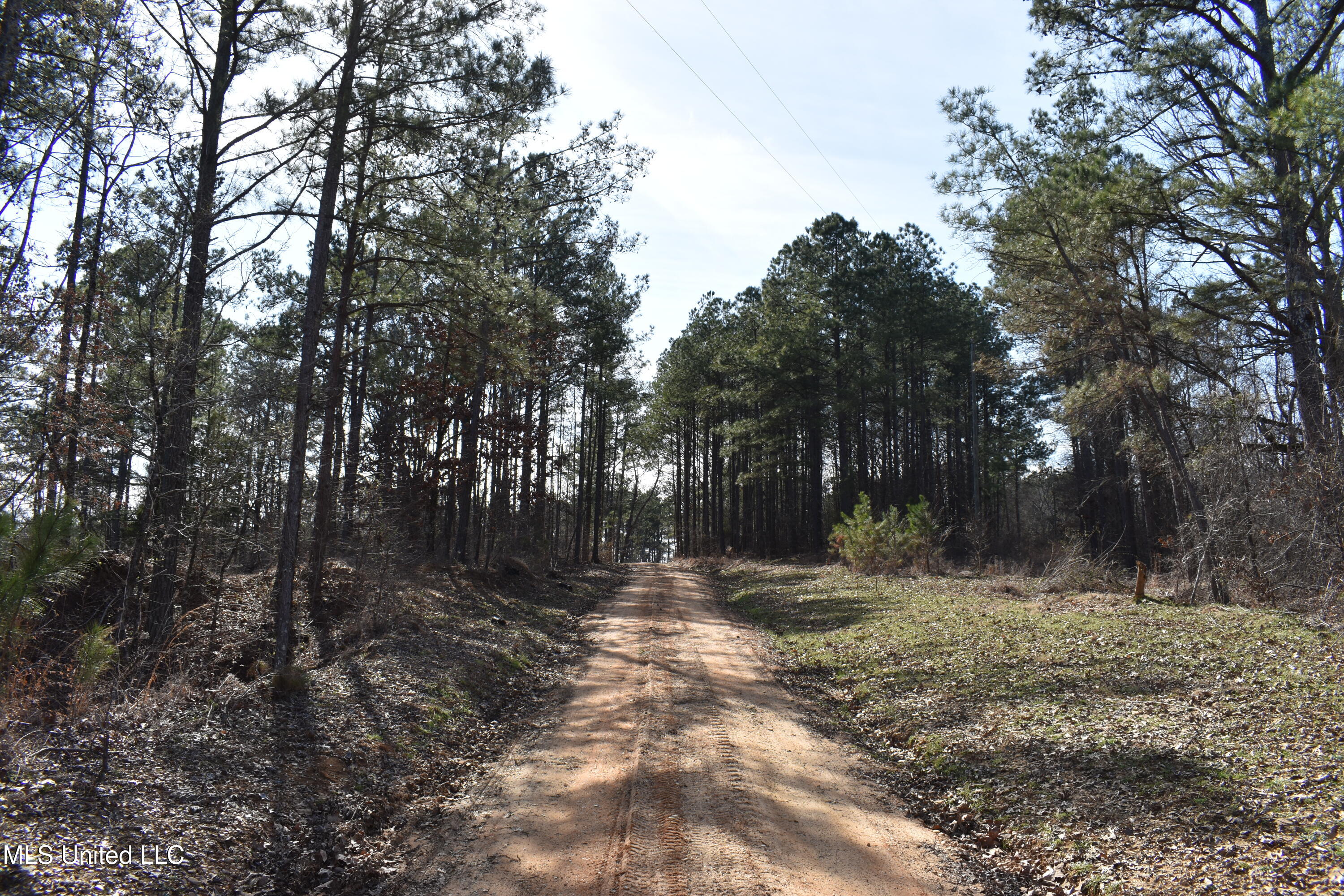 160 Simon Chapel Road, Como, Mississippi image 4