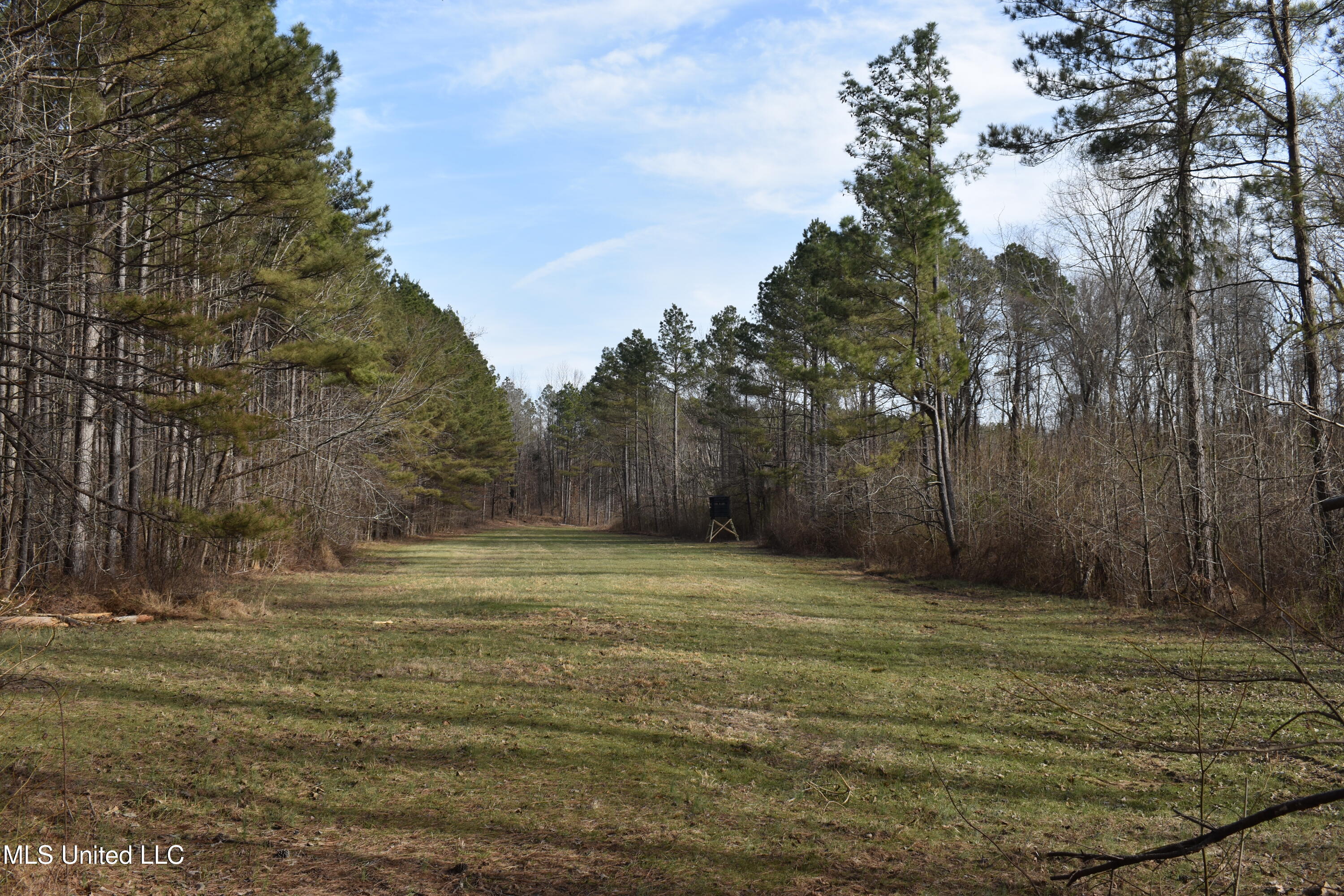 160 Simon Chapel Road, Como, Mississippi image 40