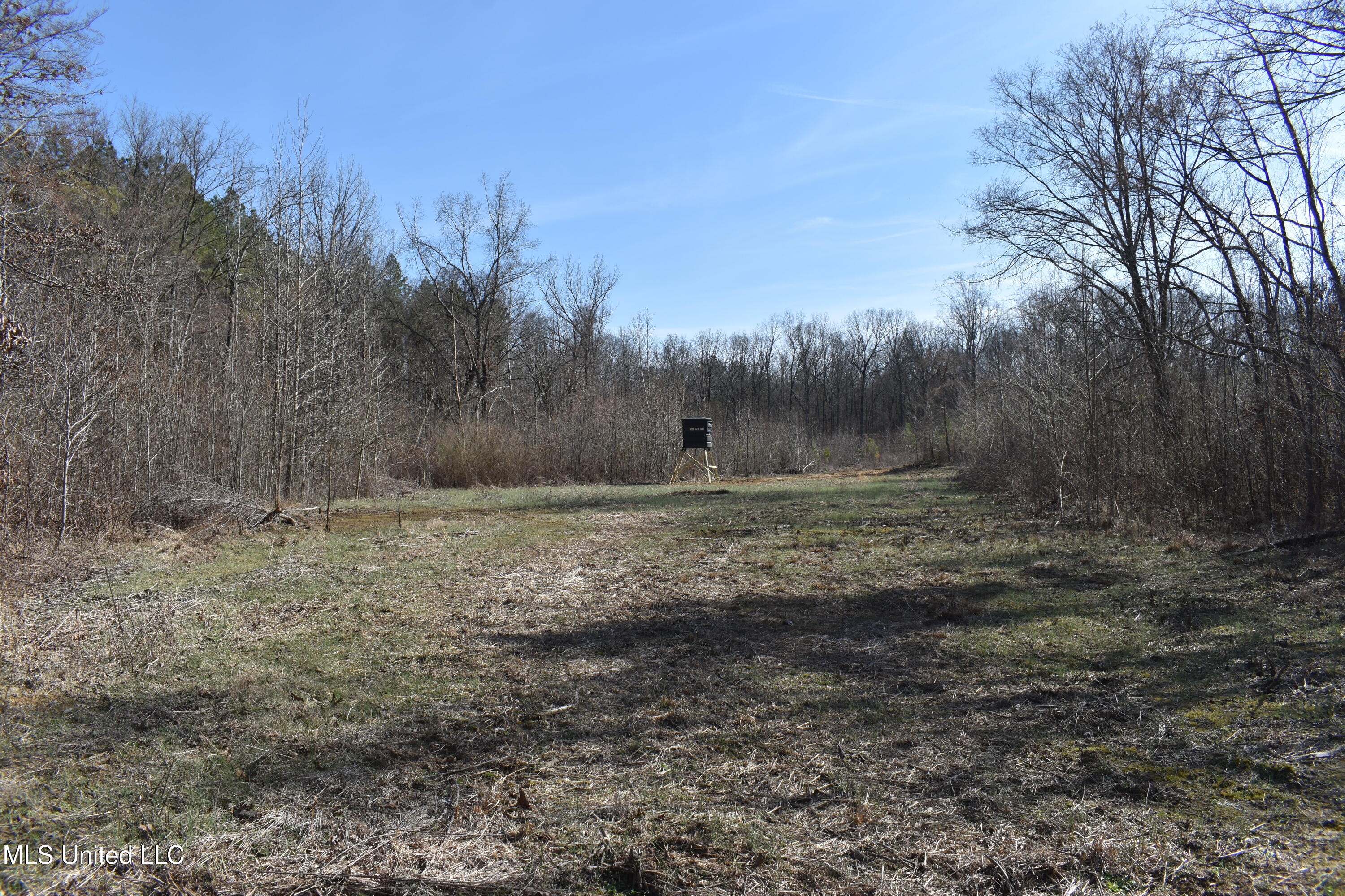 160 Simon Chapel Road, Como, Mississippi image 21