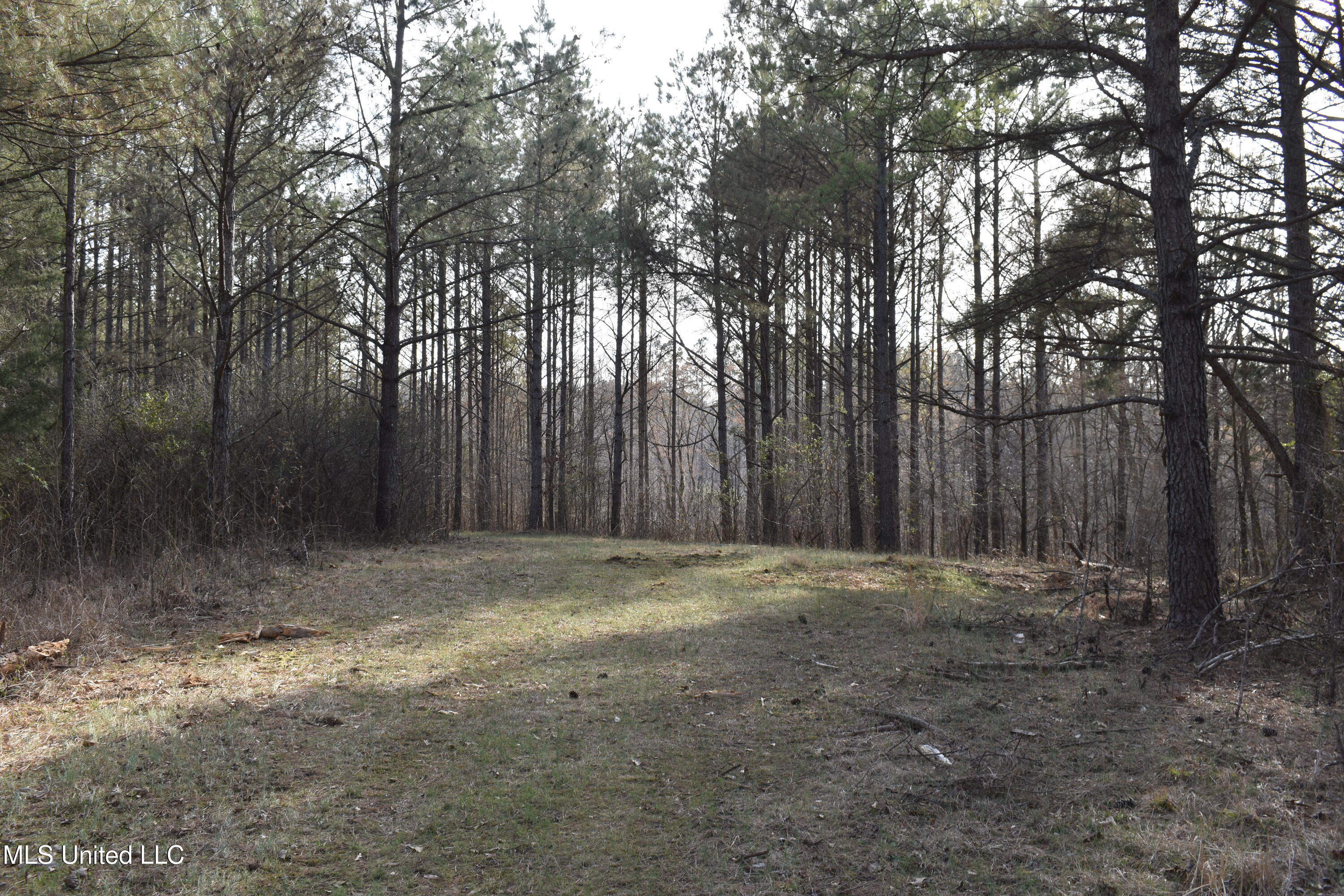 160 Simon Chapel Road, Como, Mississippi image 42