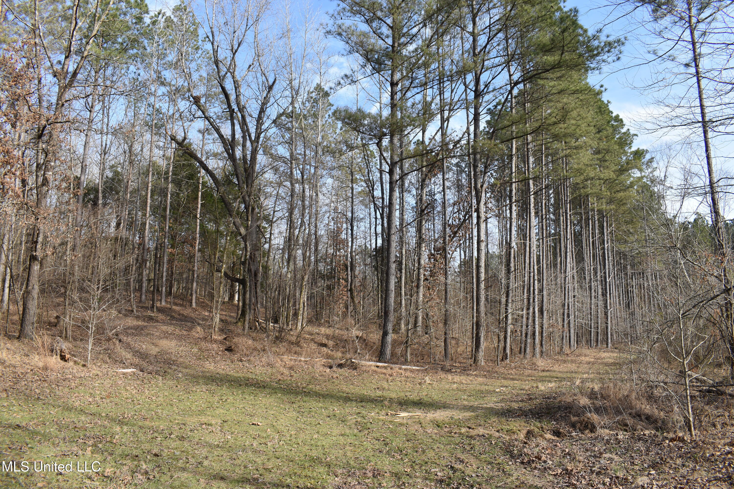 160 Simon Chapel Road, Como, Mississippi image 39