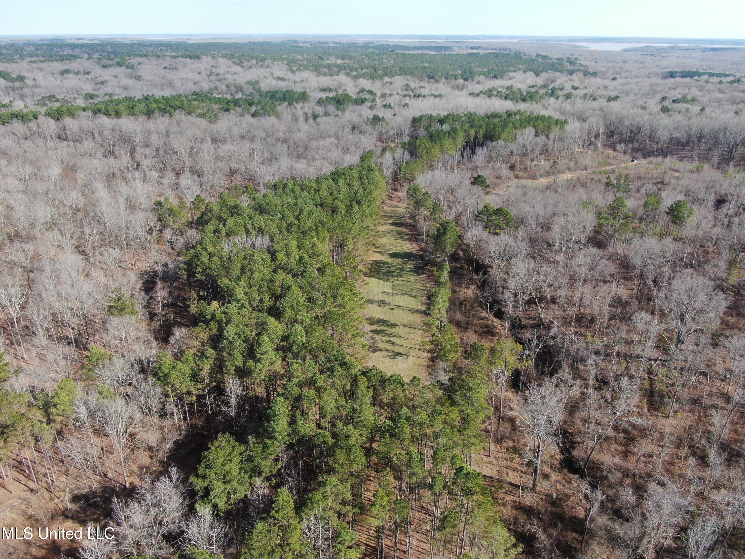 160 Simon Chapel Road, Como, Mississippi image 25