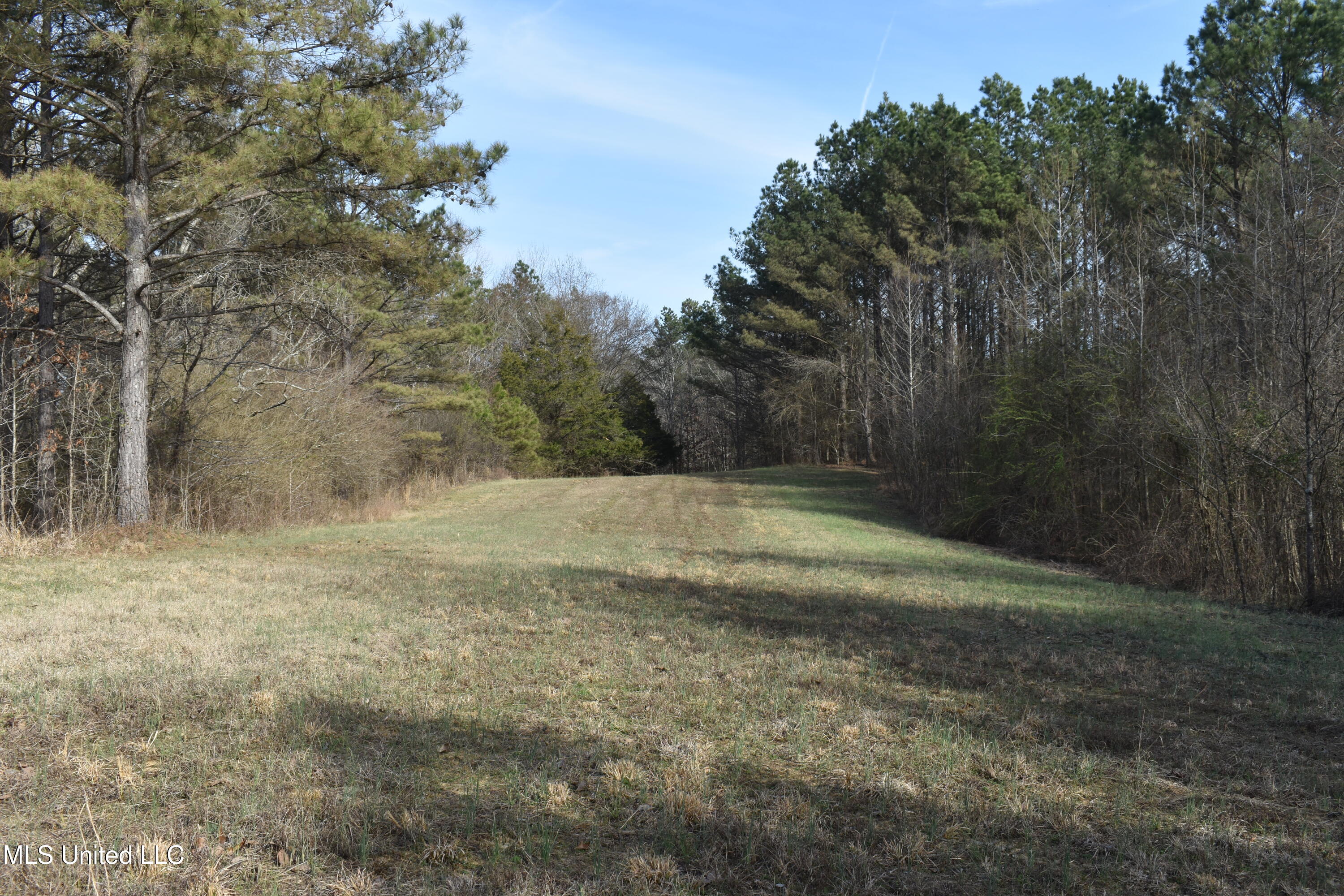 160 Simon Chapel Road, Como, Mississippi image 45