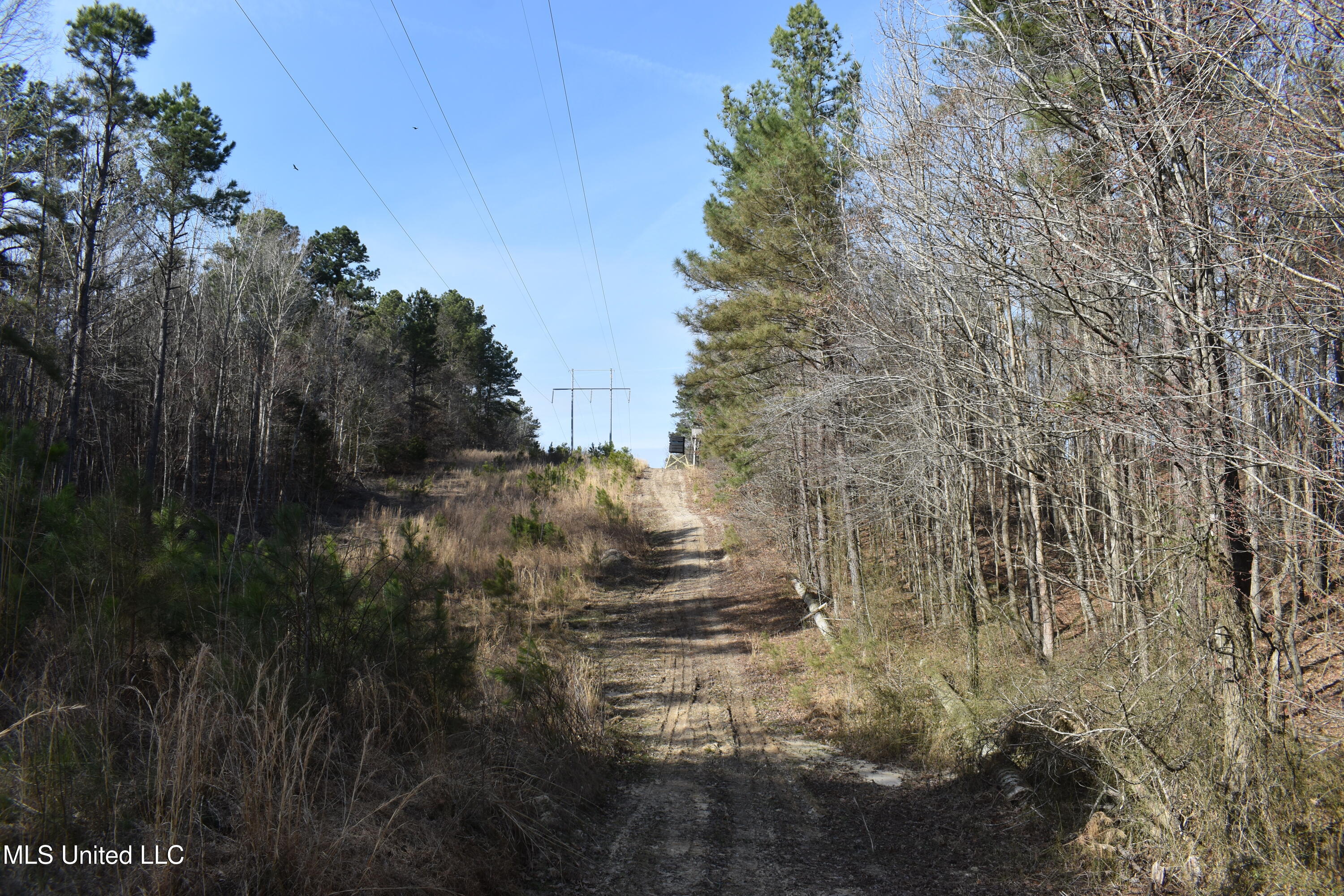 160 Simon Chapel Road, Como, Mississippi image 23