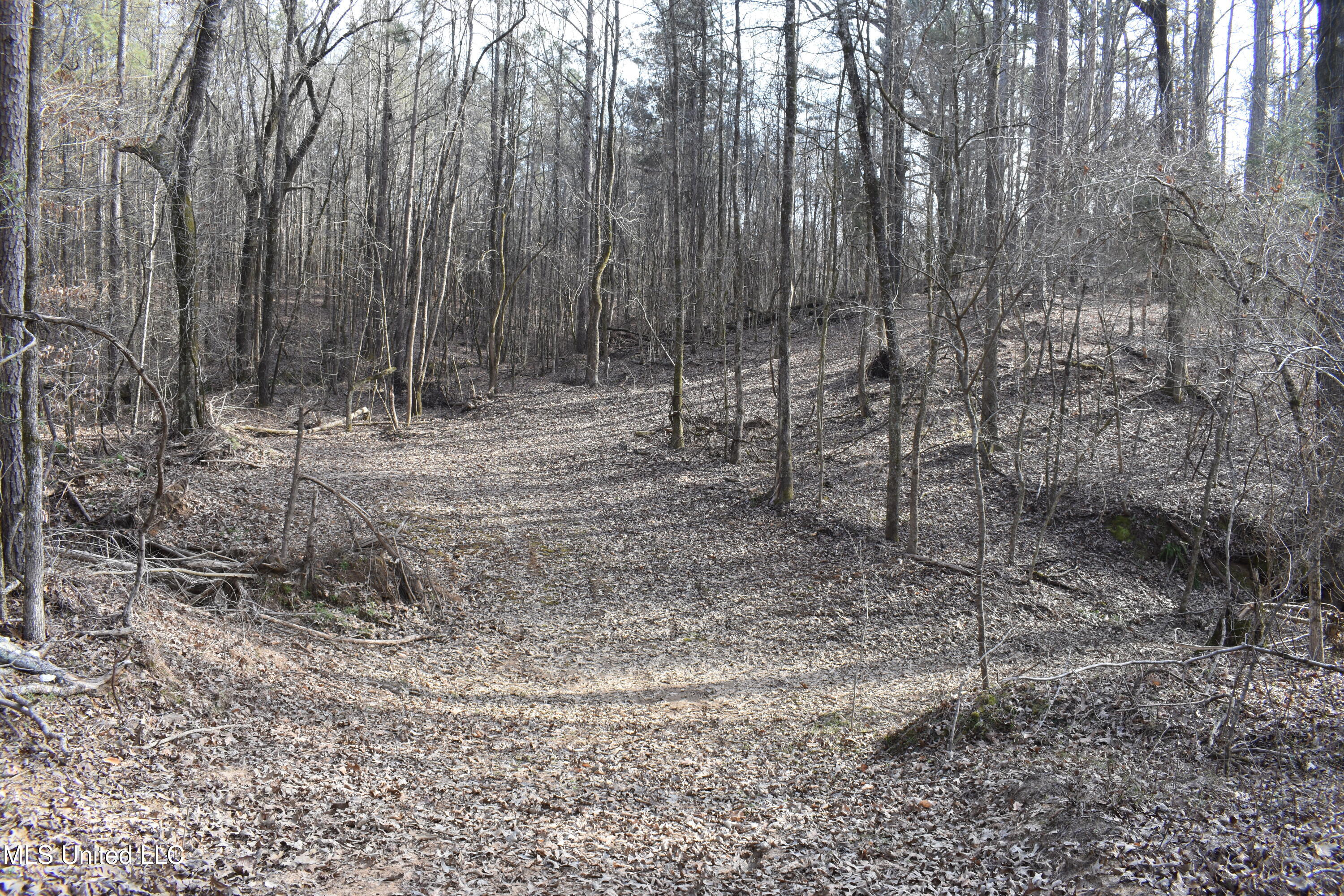 160 Simon Chapel Road, Como, Mississippi image 30