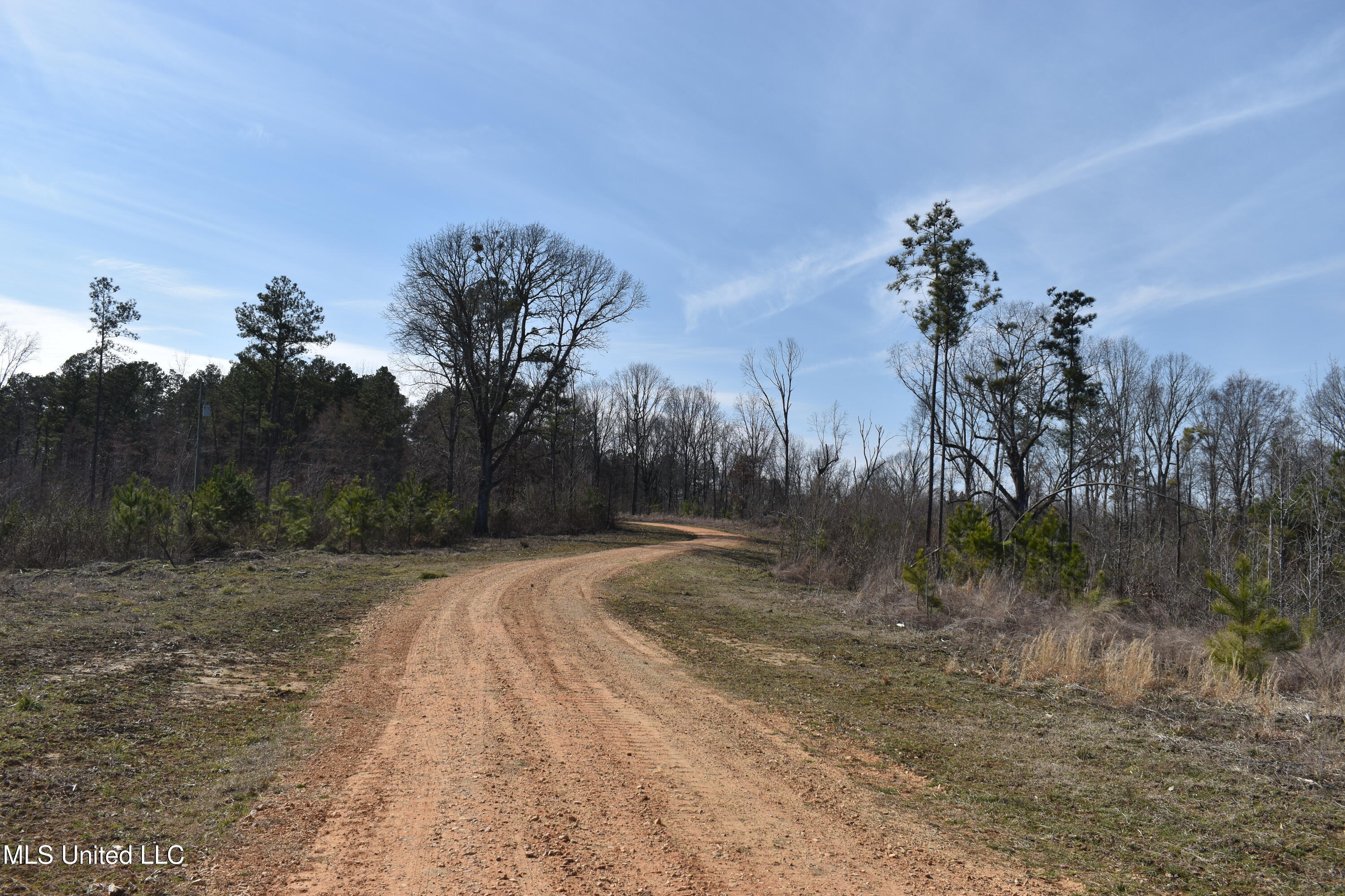 160 Simon Chapel Road, Como, Mississippi image 5