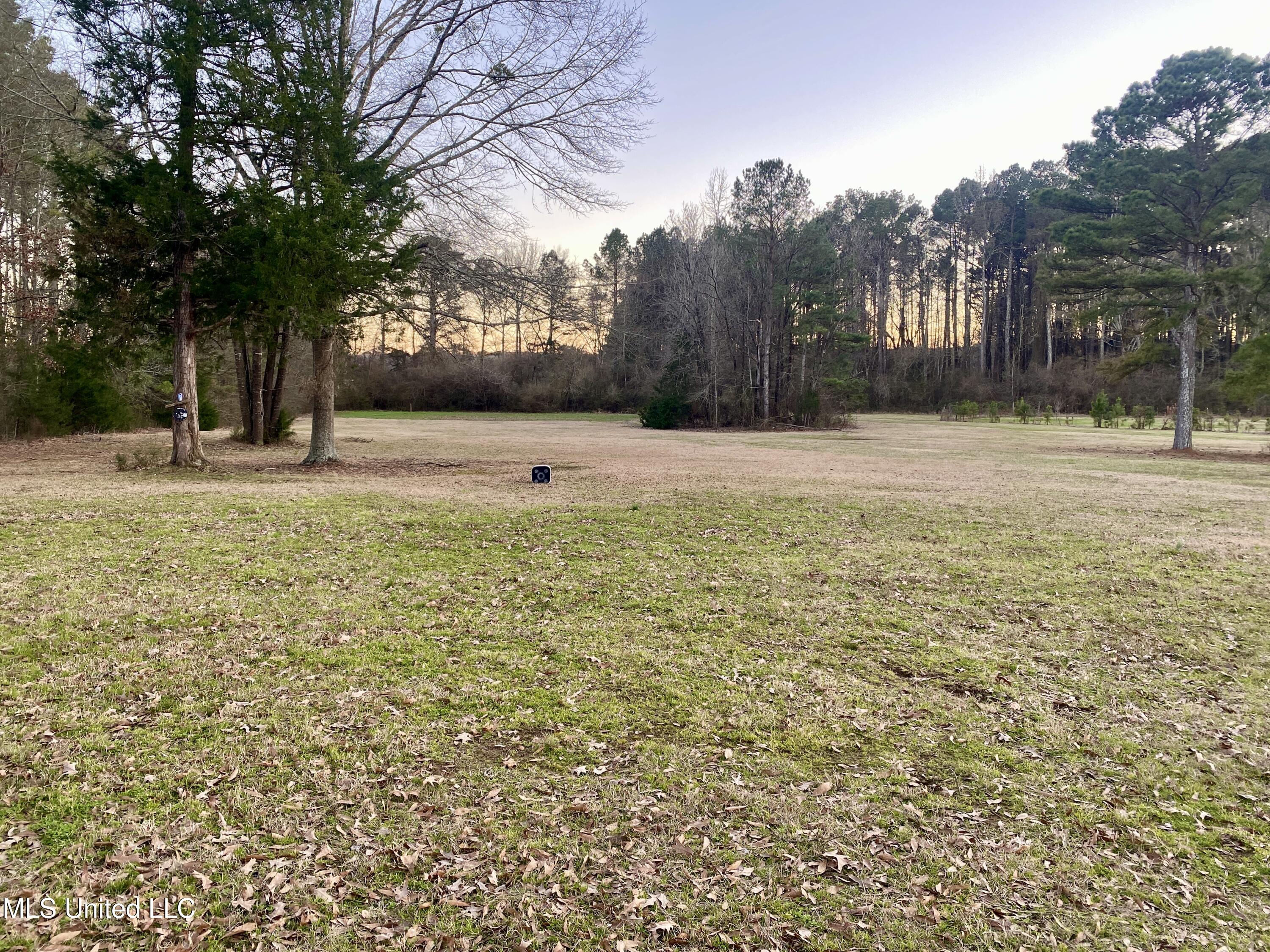 1720 Attala Rd 1991, Kosciusko, Mississippi image 46