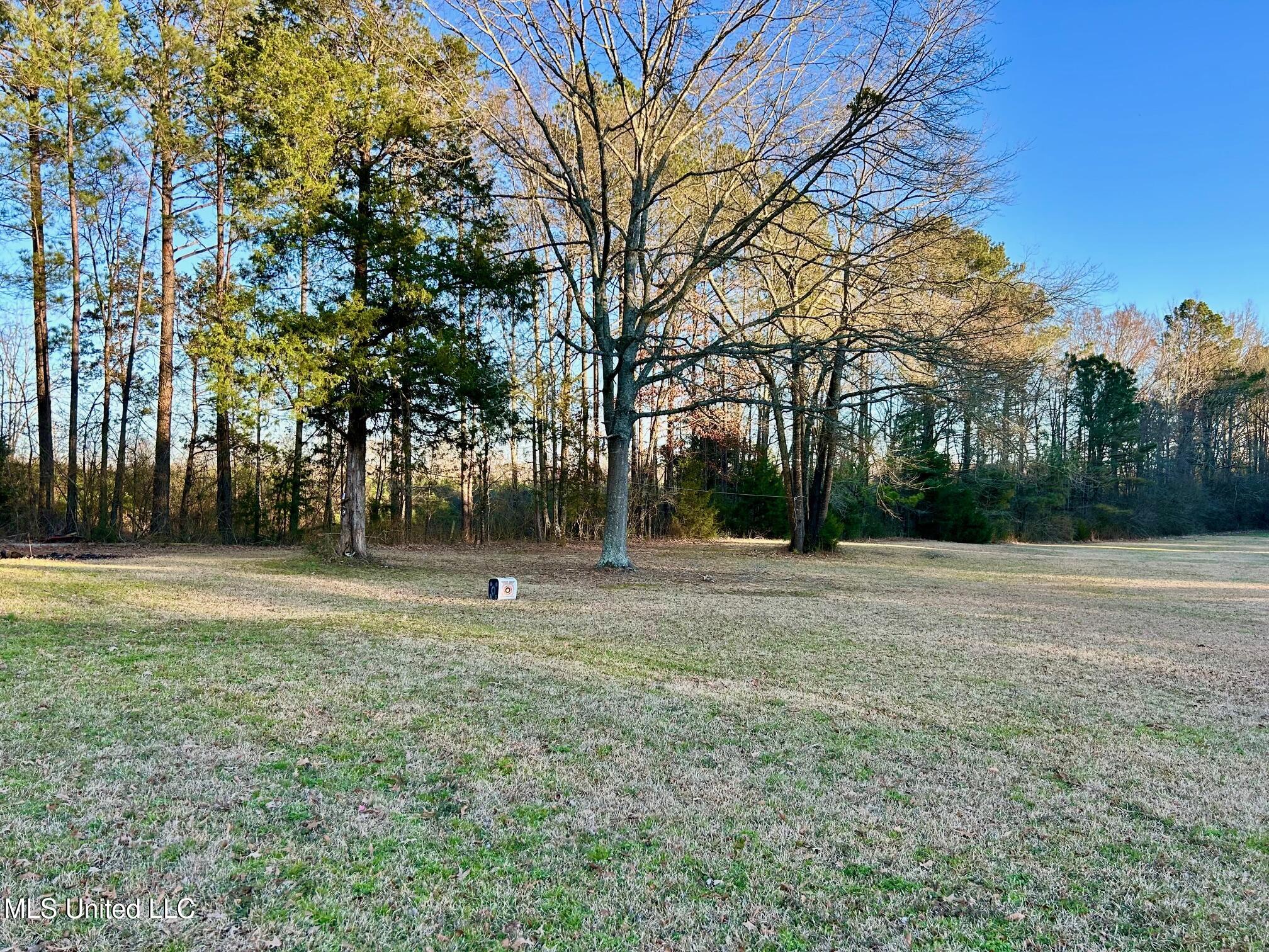 1720 Attala Rd 1991, Kosciusko, Mississippi image 44