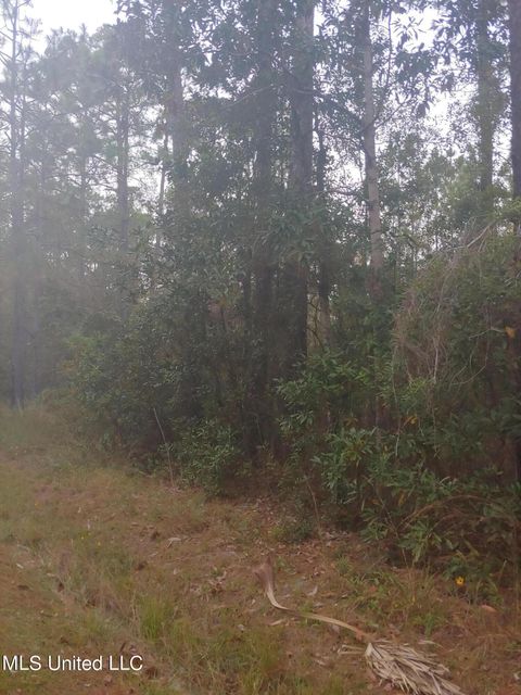 Vacant Land For Sale - E Marion Street<br/> Hancock County, Bay Saint Louis, MS 39520