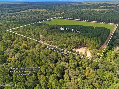 Vacant Land For Sale - 869 Old Holmesville Road<br/> Tylertown, MS 39667