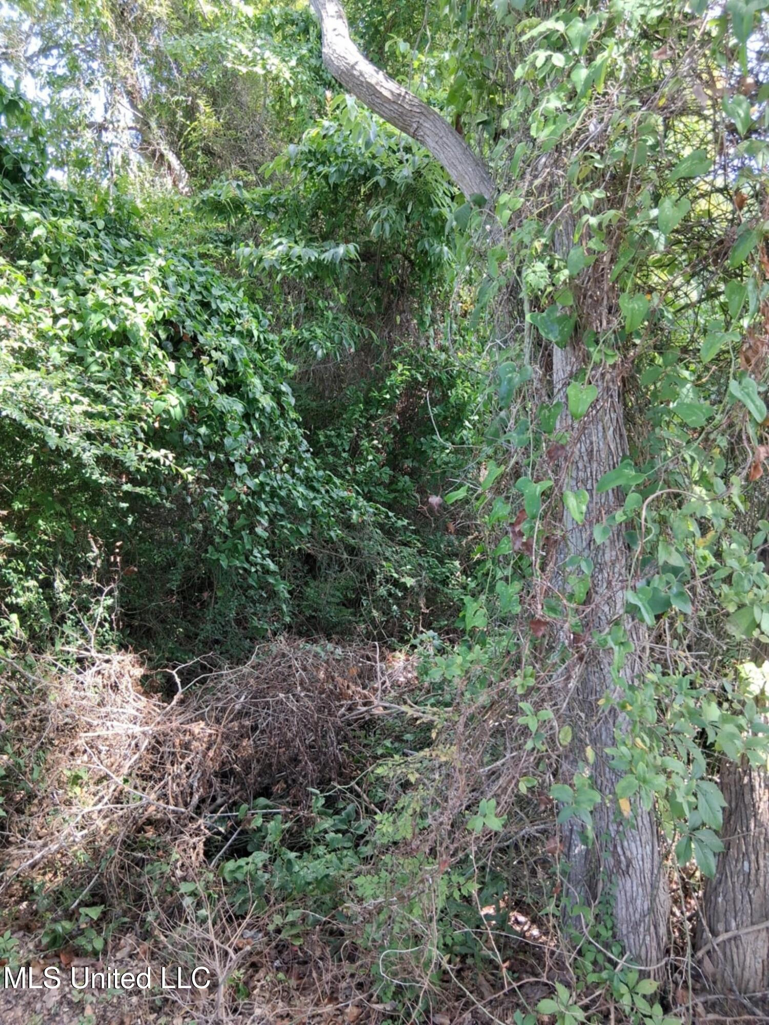 7th Street, Bay Saint Louis, Mississippi image 2