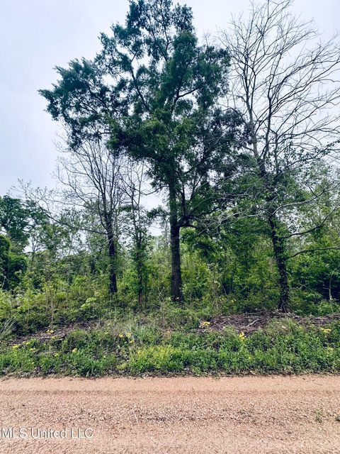 Vacant Land For Sale - Pecan Grove Road<br/> Wilkinson County, Woodville, MS 39669