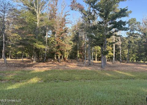 Vacant Land For Sale - 00 Shire Avenue<br/> Forest, MS 39074