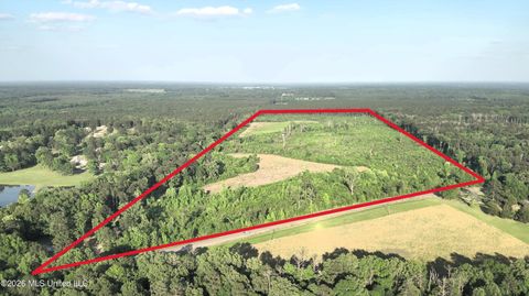 Vacant Land For Sale - Ms-471<br/> Brandon, MS 39047