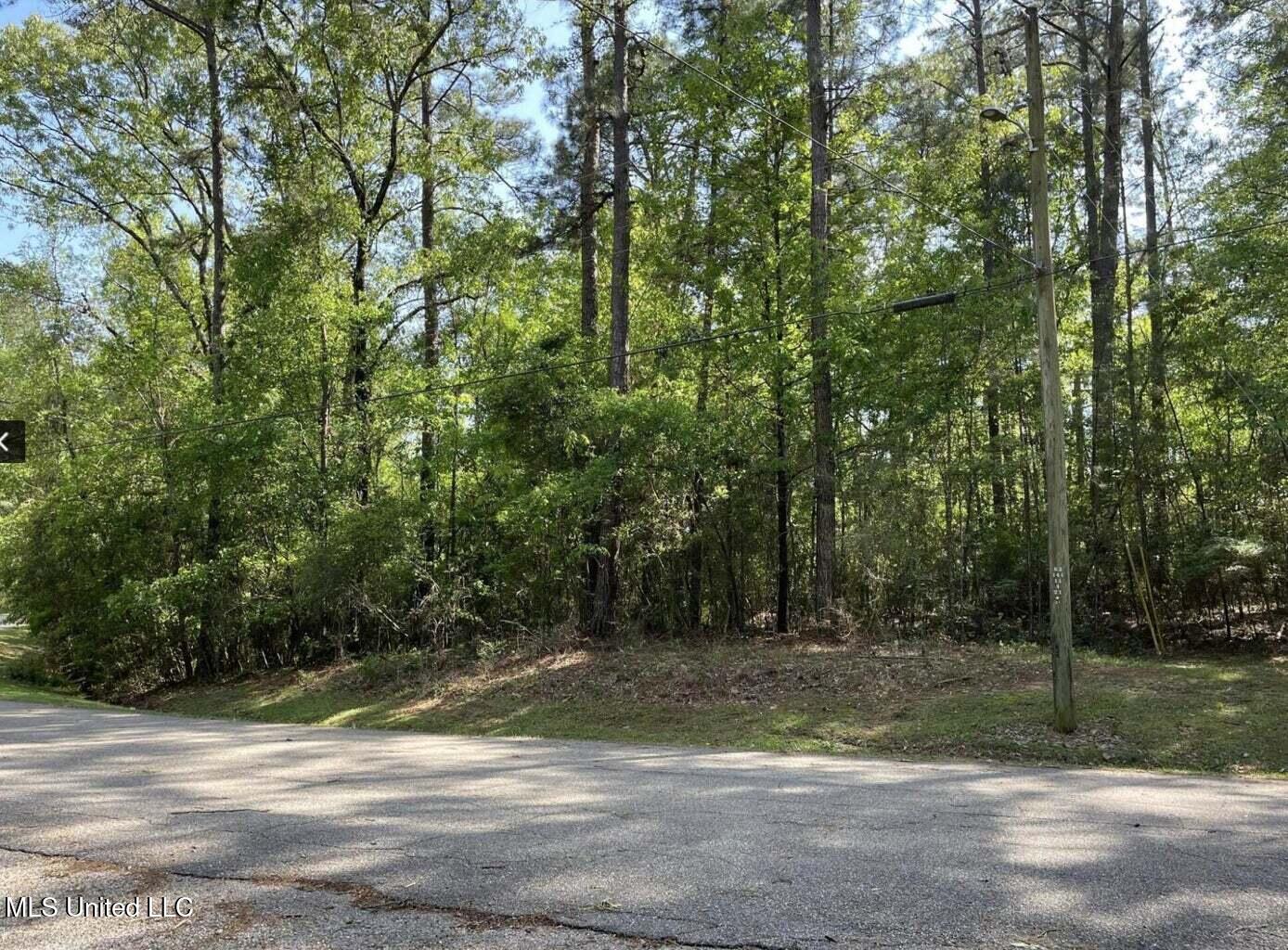 179 West Bay Drive, Lumberton, Mississippi image 3