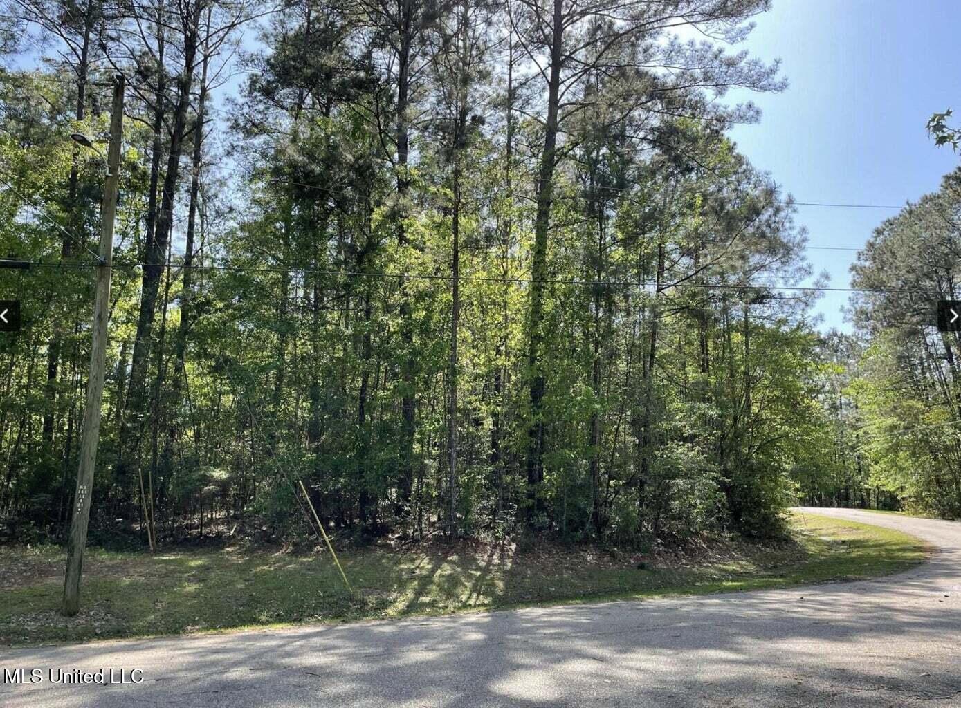 179 West Bay Drive, Lumberton, Mississippi image 2
