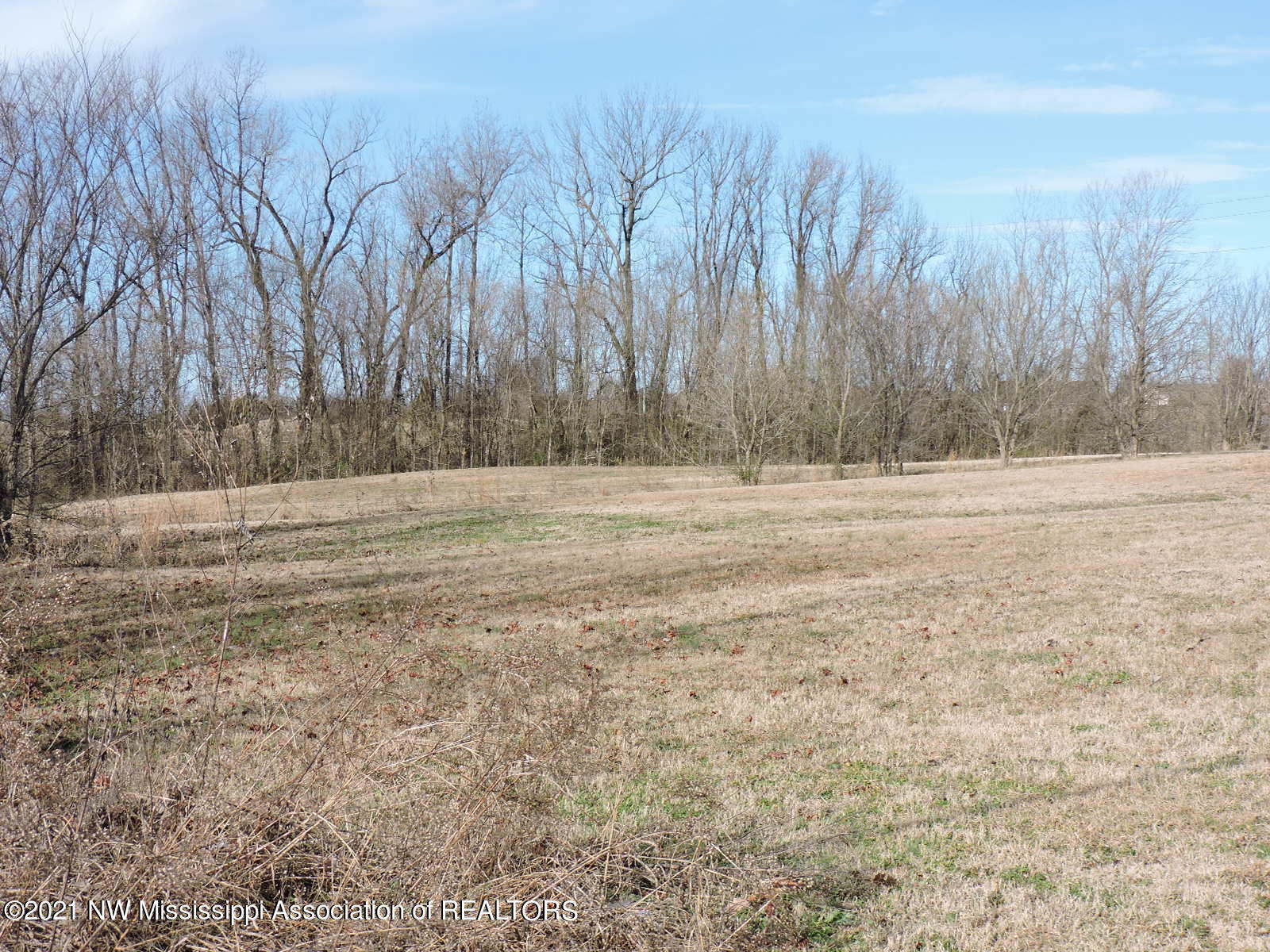 Stateline Rd, Southaven, Mississippi image 3