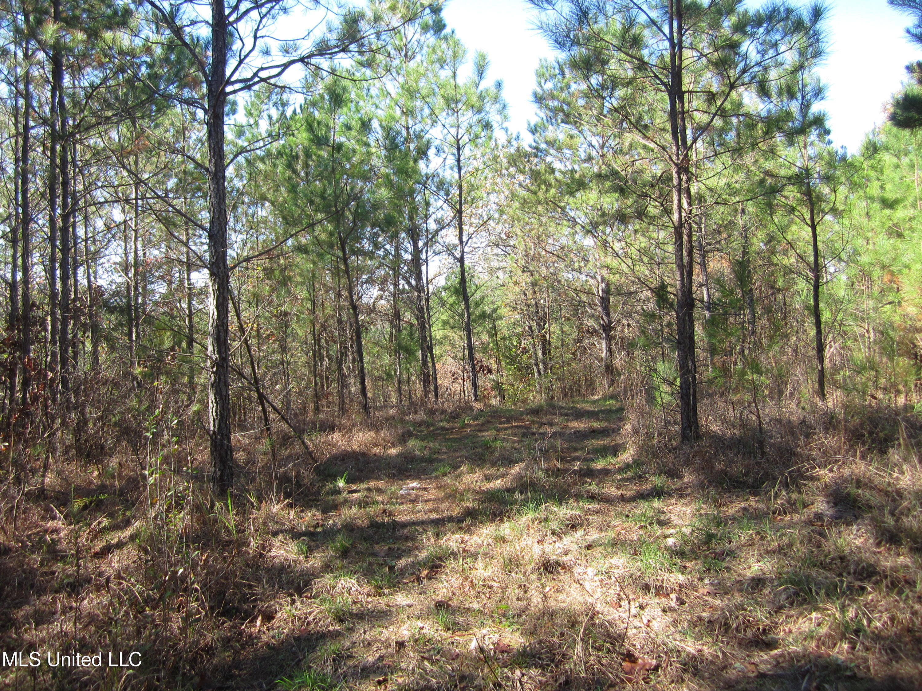 Cr 312, Walnut, Mississippi image 8