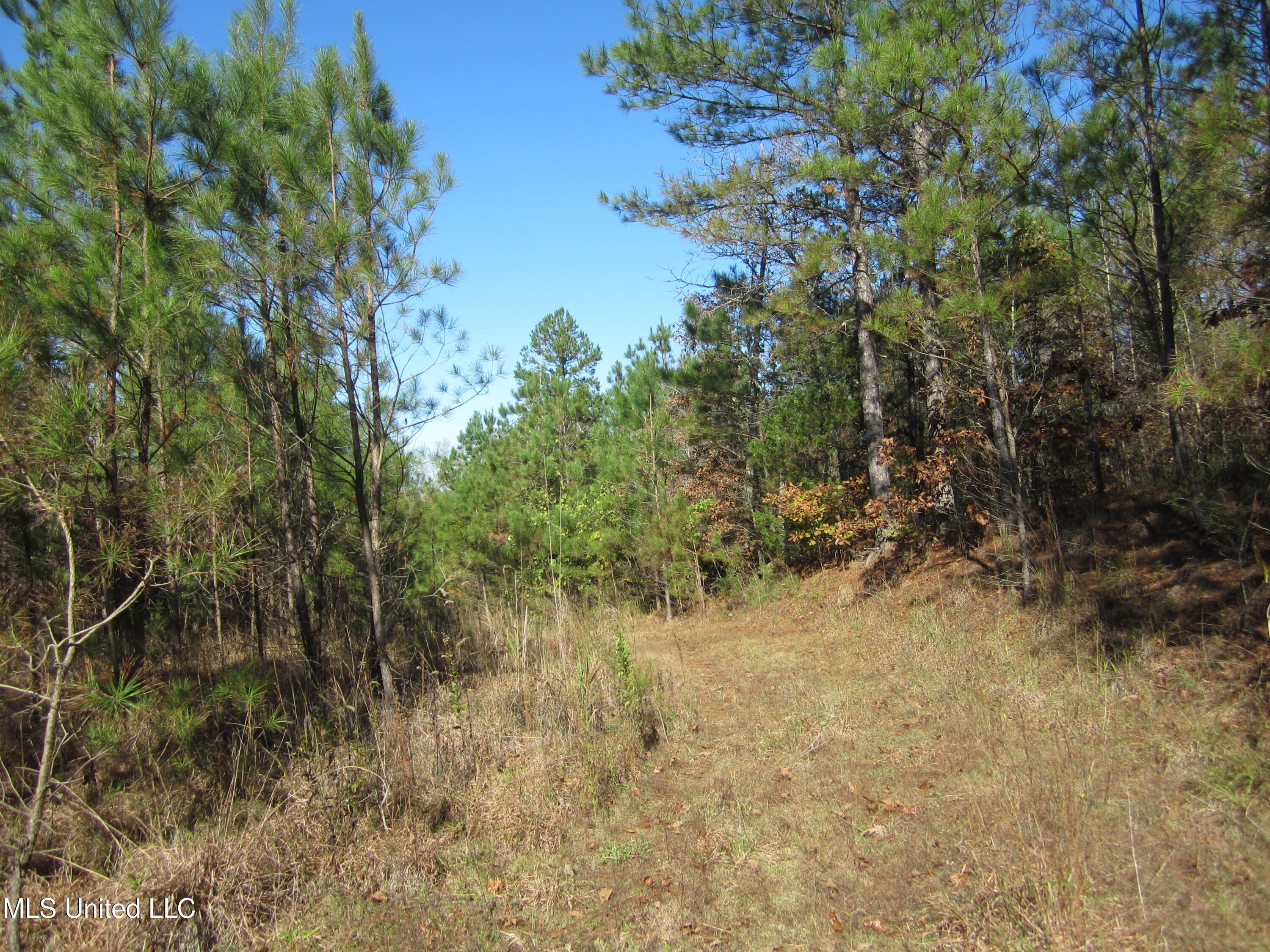 Cr 312, Walnut, Mississippi image 9