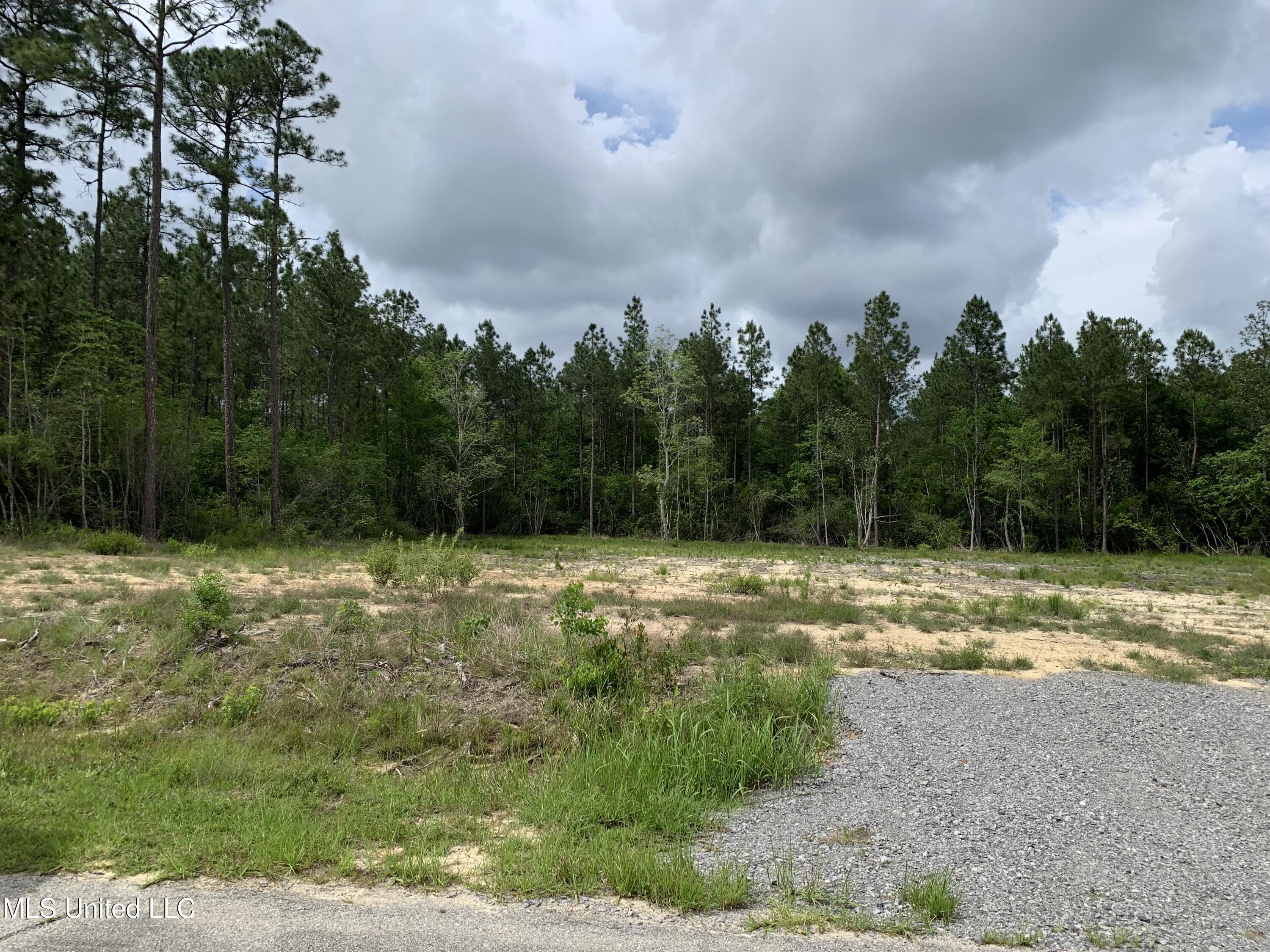 Oak Terrace Drive, Gulfport, Mississippi image 6