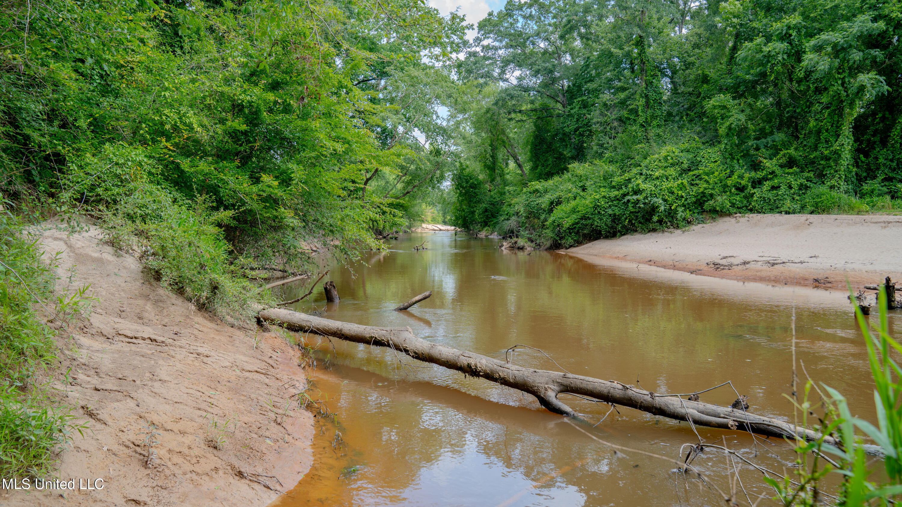 0000 Pleasant Ridge Road, Hickory, Mississippi image 34