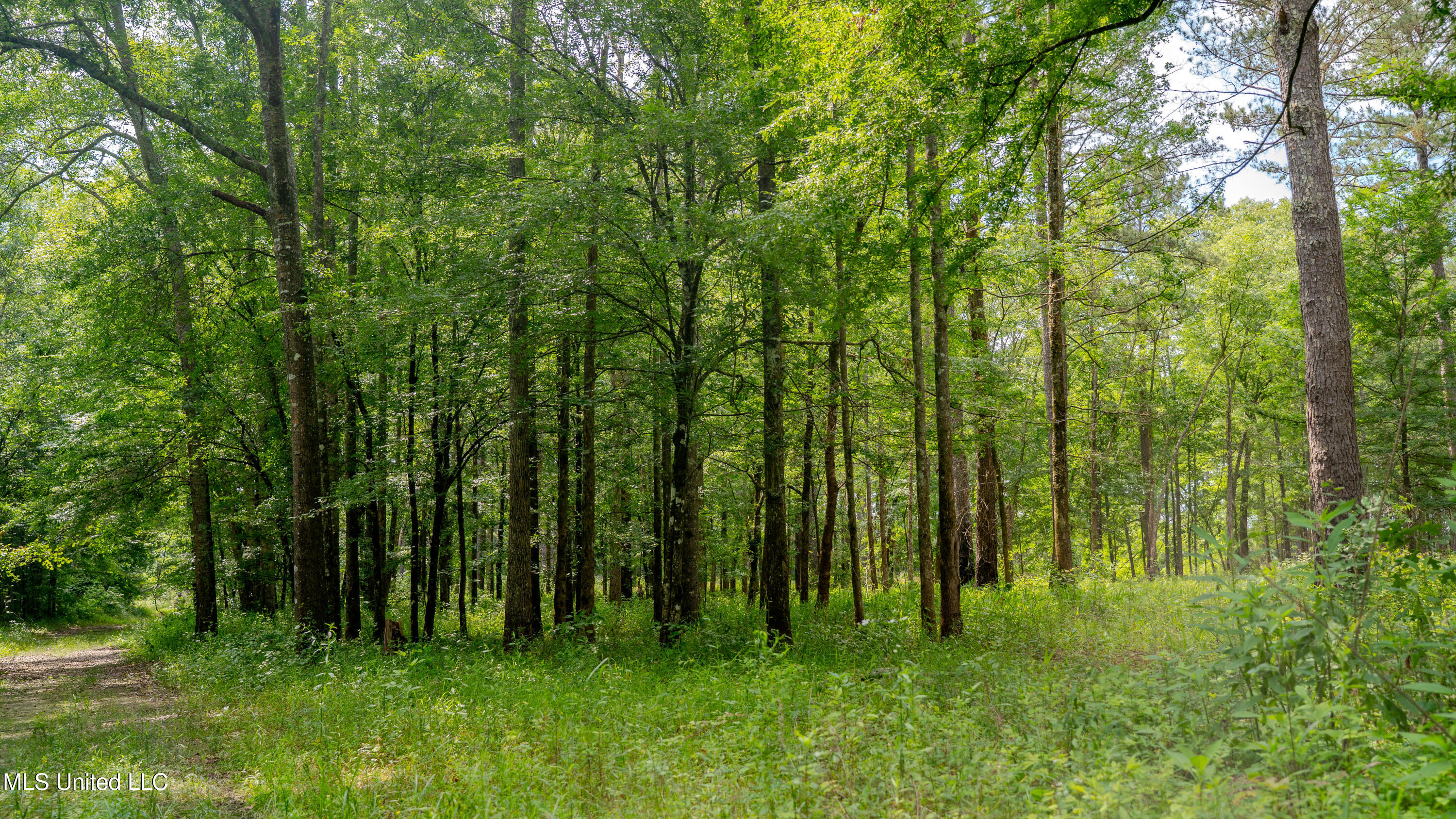0000 Pleasant Ridge Road, Hickory, Mississippi image 4