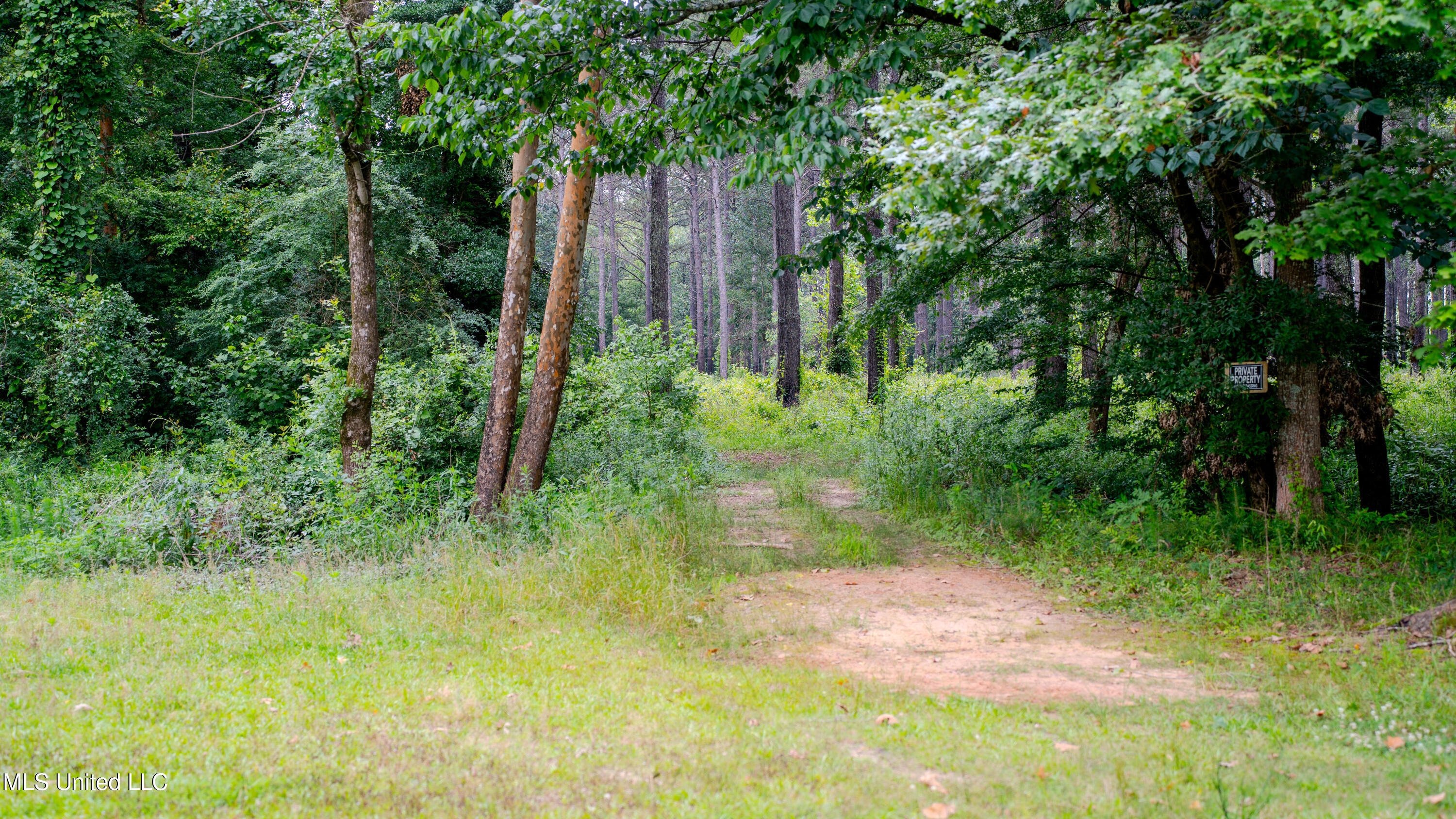 0000 Pleasant Ridge Road, Hickory, Mississippi image 1