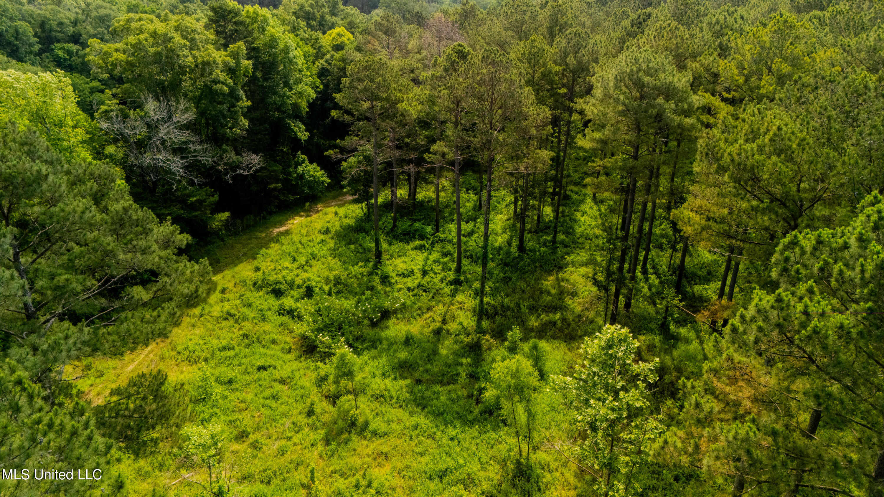 0000 Pleasant Ridge Road, Hickory, Mississippi image 28