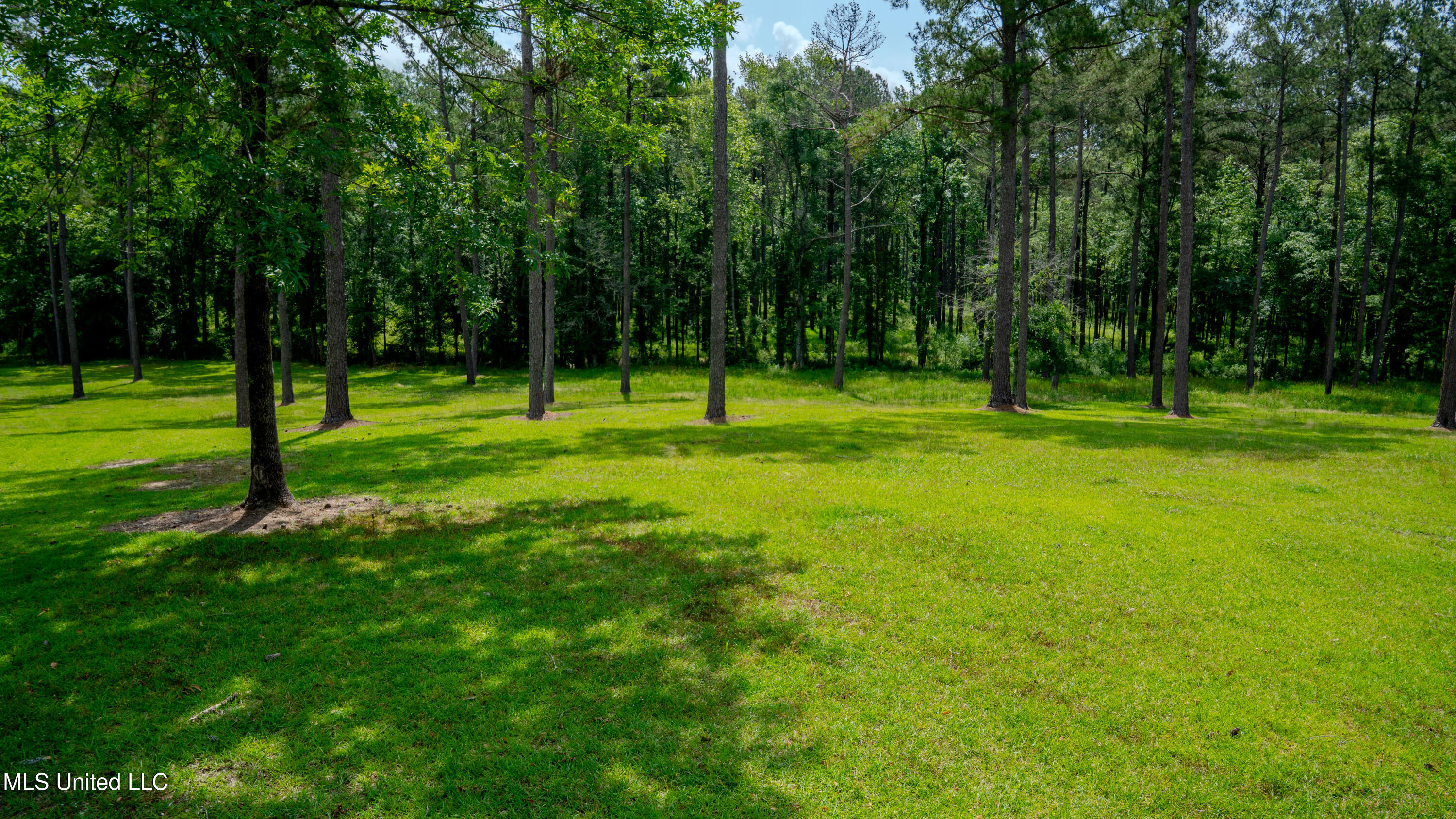 0000 Pleasant Ridge Road, Hickory, Mississippi image 41