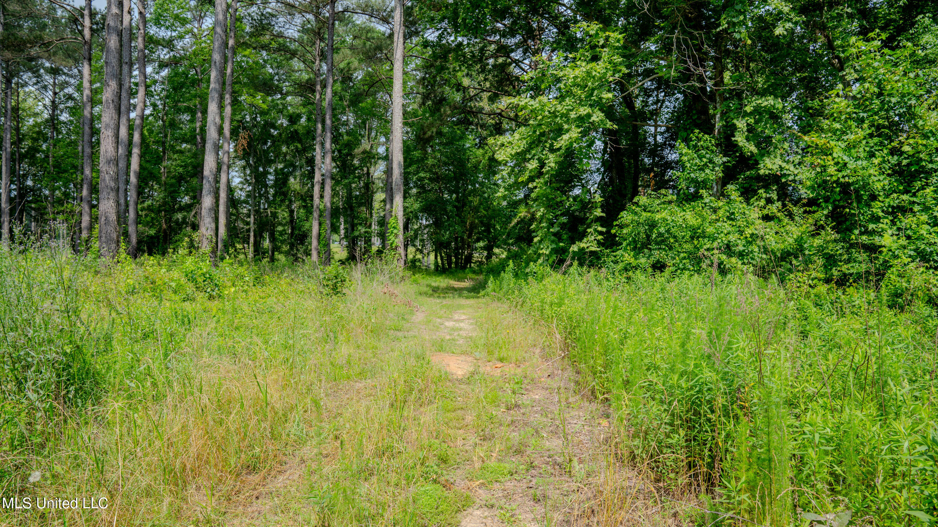 0000 Pleasant Ridge Road, Hickory, Mississippi image 29